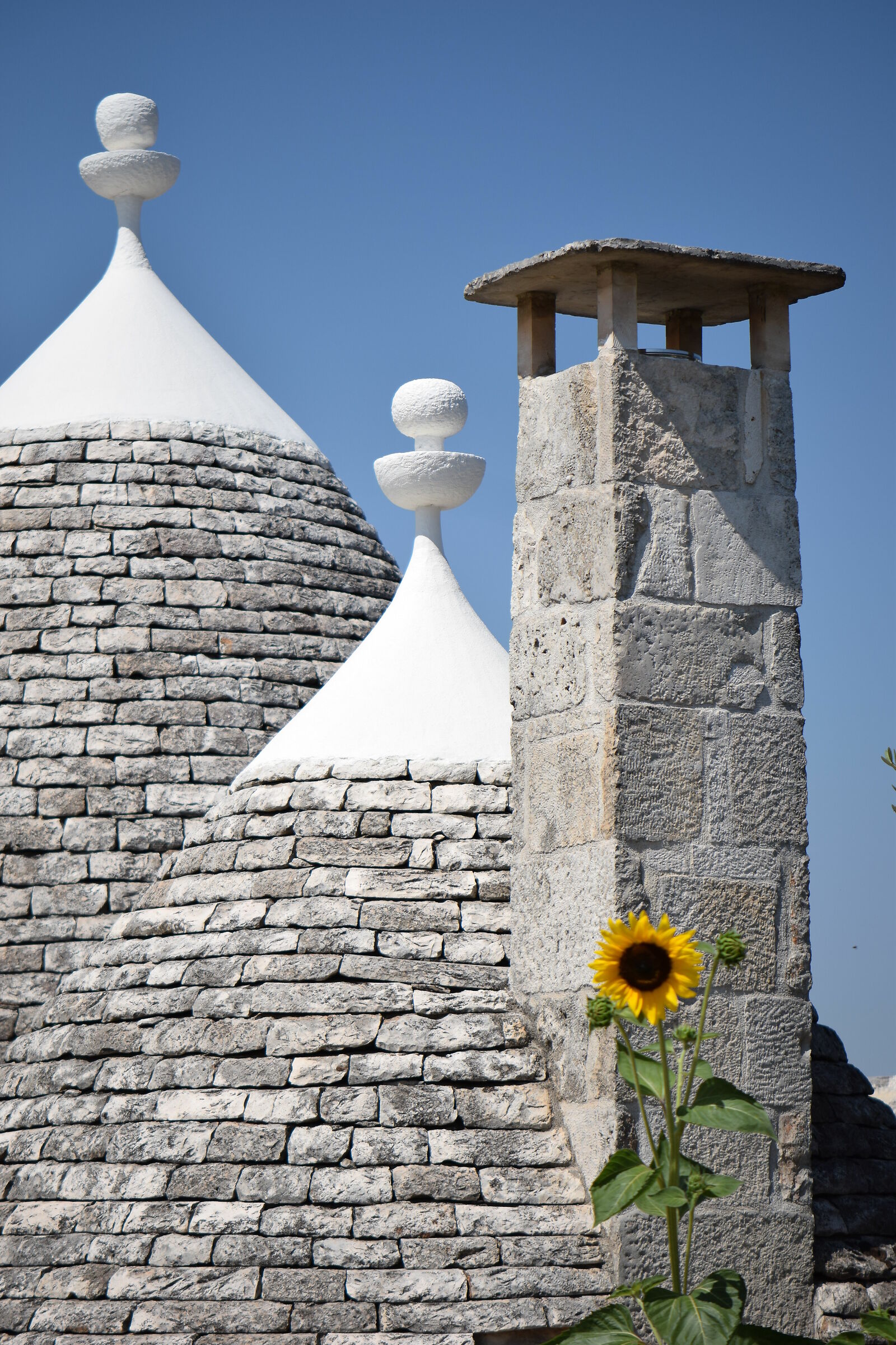 a point of yellow doesn't hurt