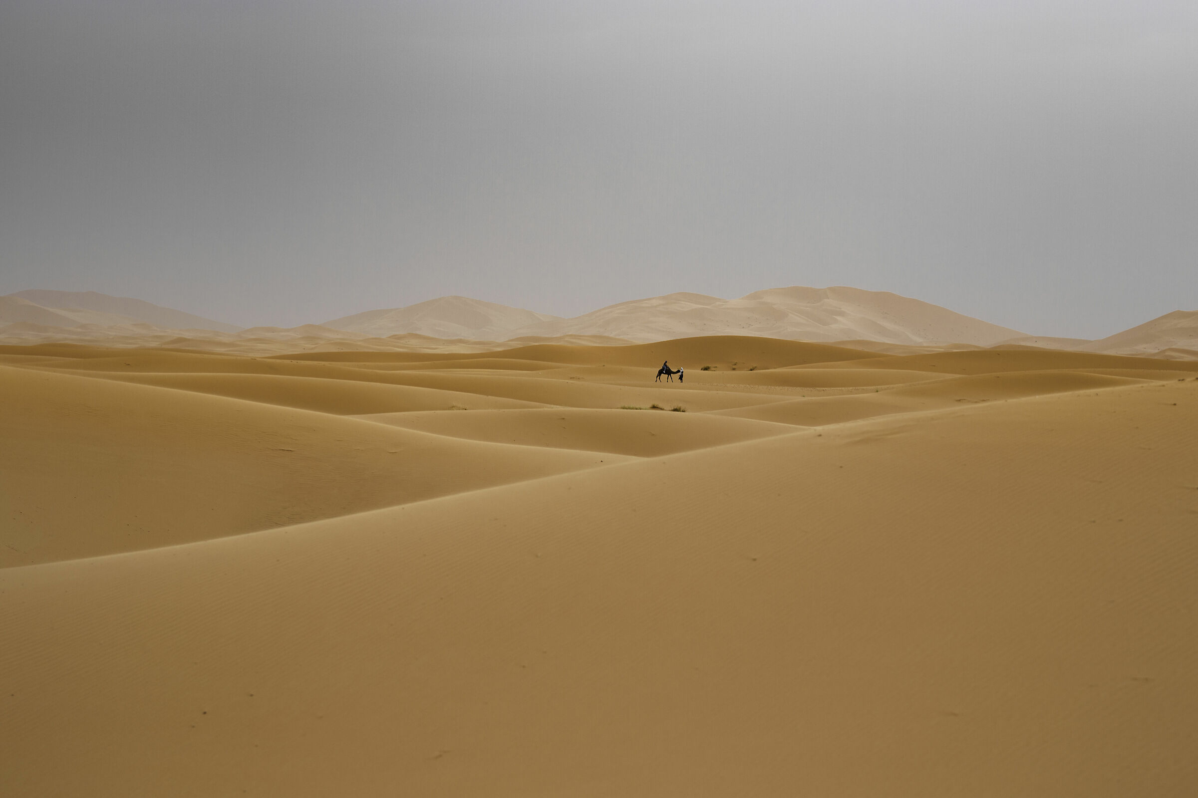 Before the desert storm