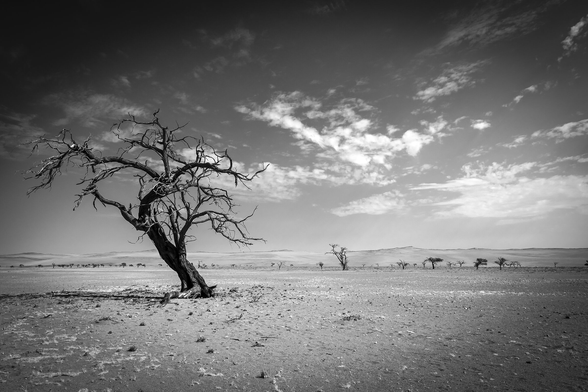 Il silenzio assoluto