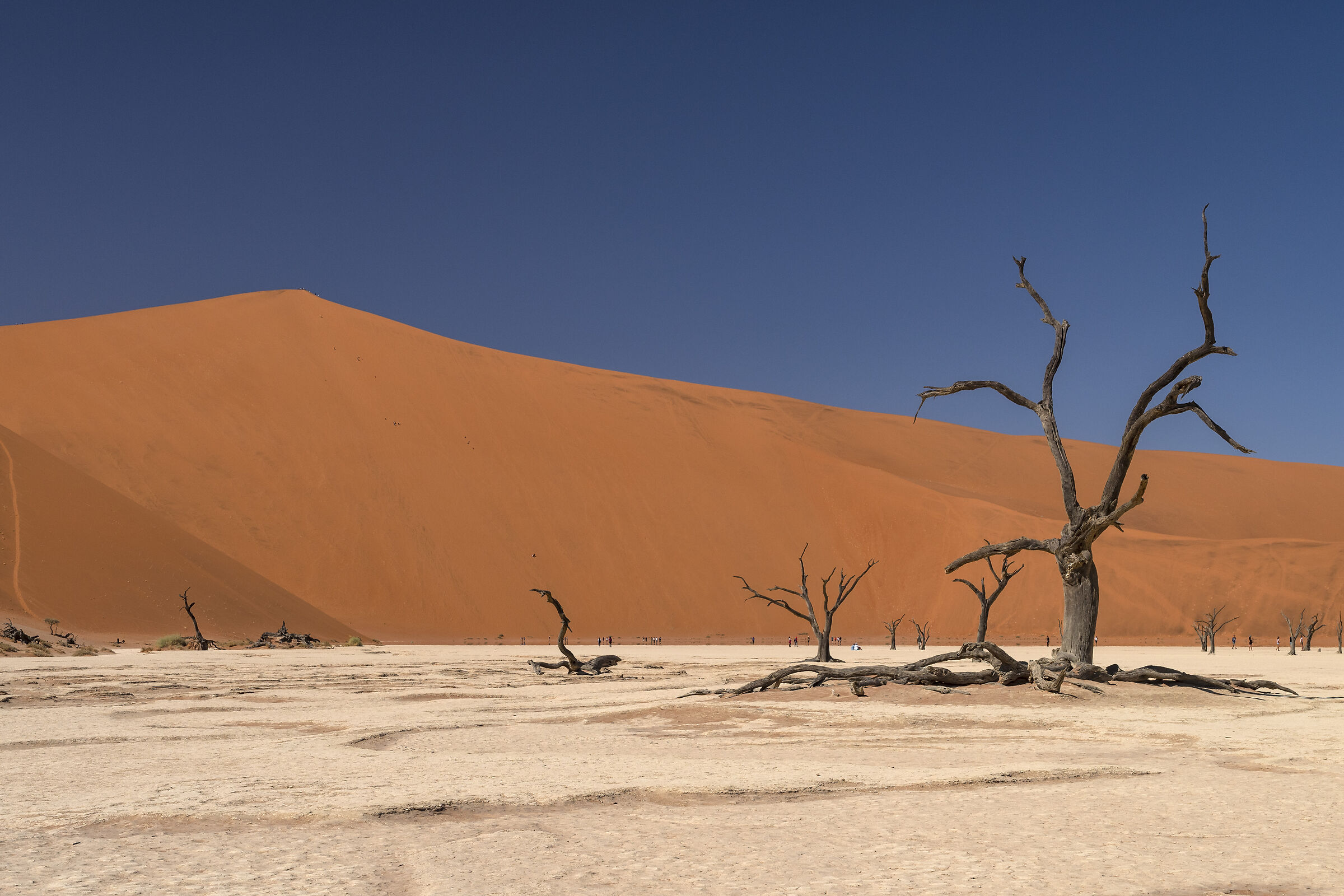 Deadvlei Namibia
