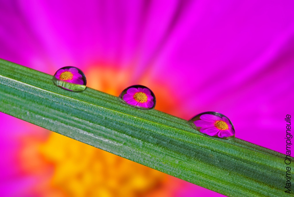 Water drop reflections