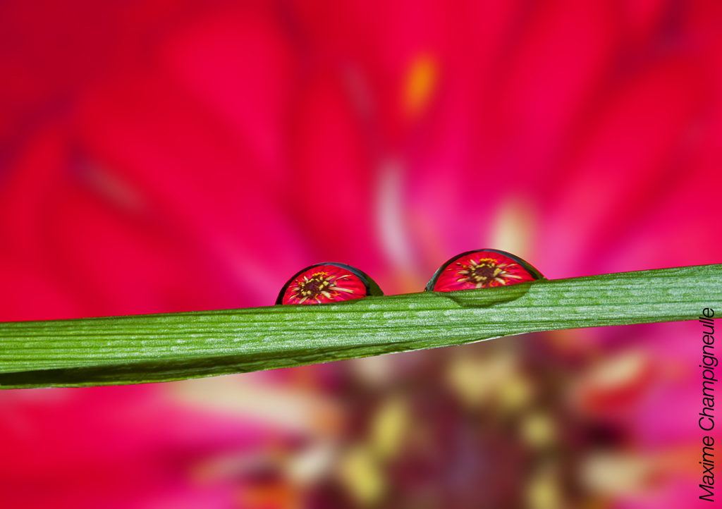 Water drop reflections