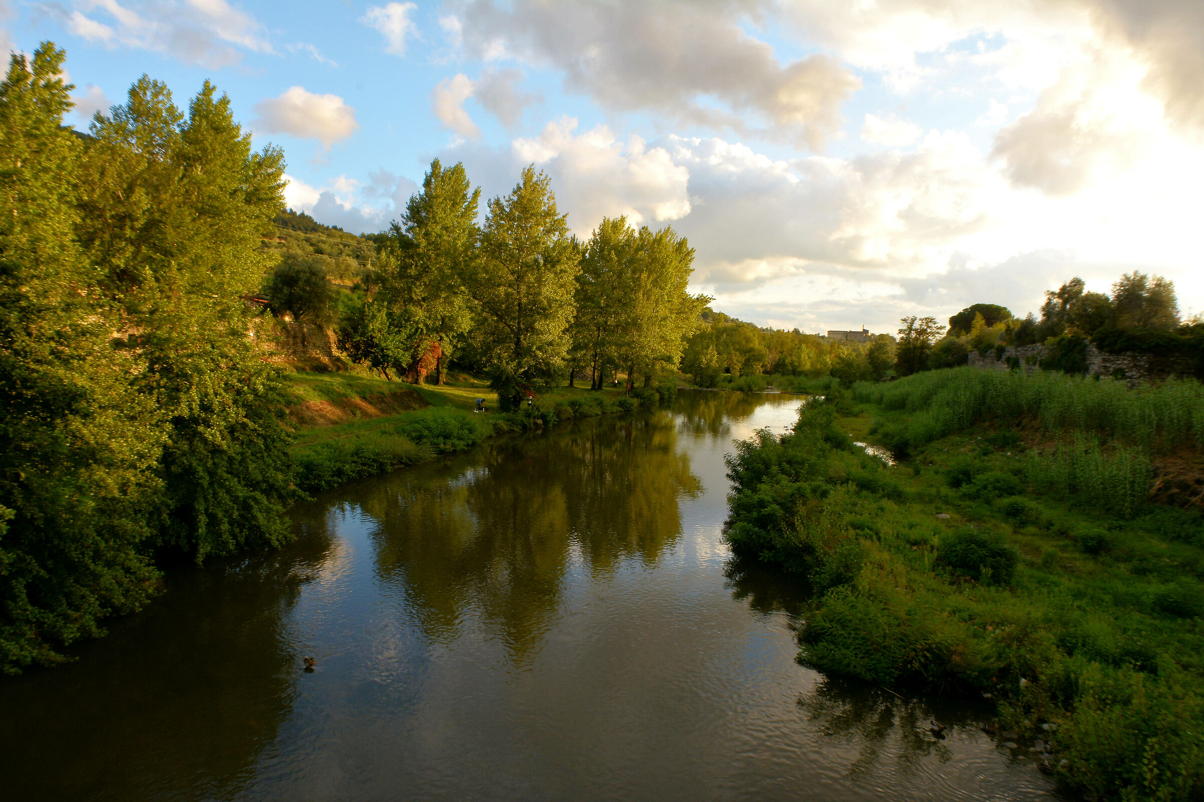 Evening light on the river