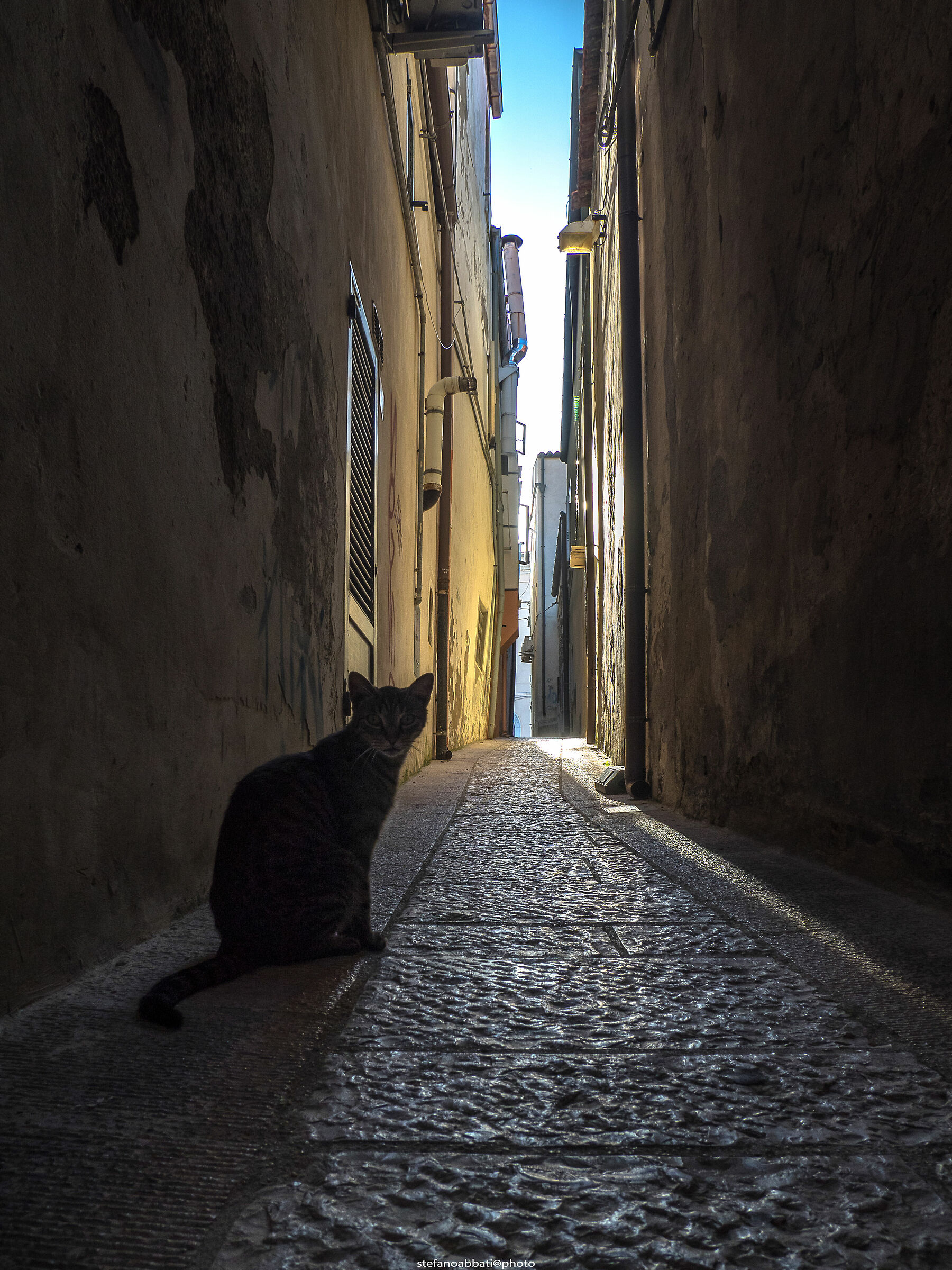 Termoli