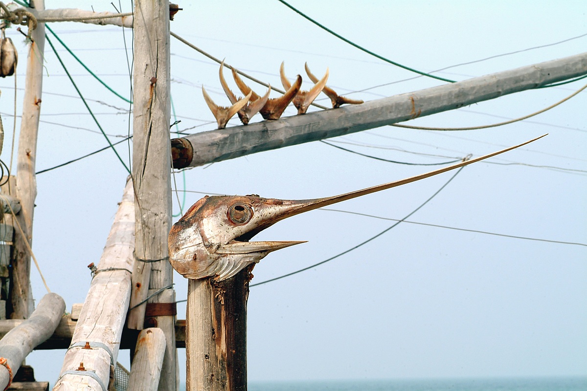 Fishing on trebuchets