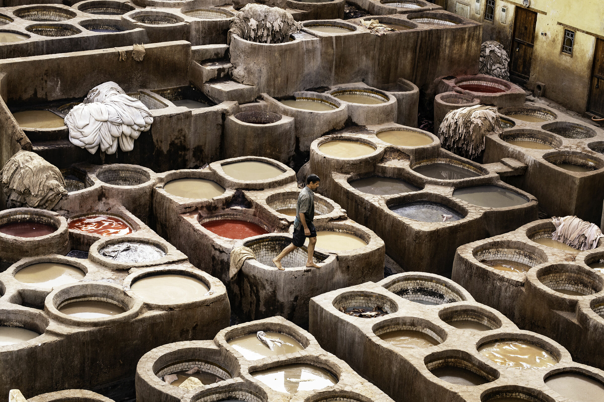 tanneries 2