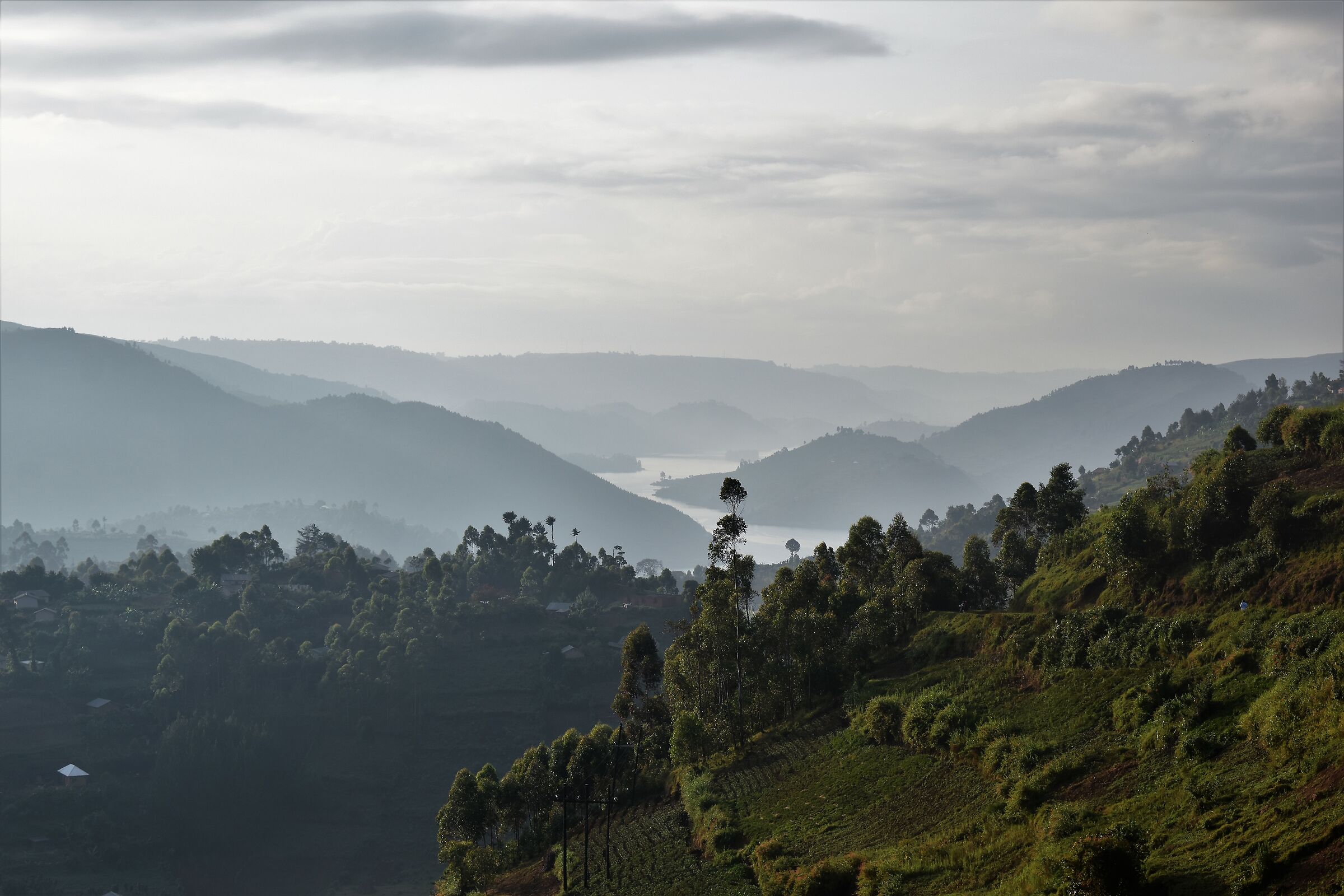 Bwindi forest Lake Bunyhonyi view