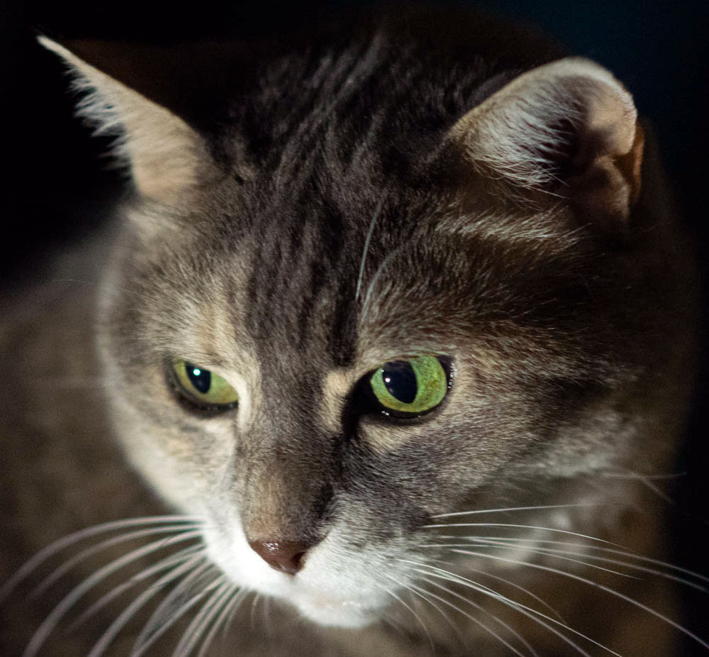 Chissà a cosa stai pensando