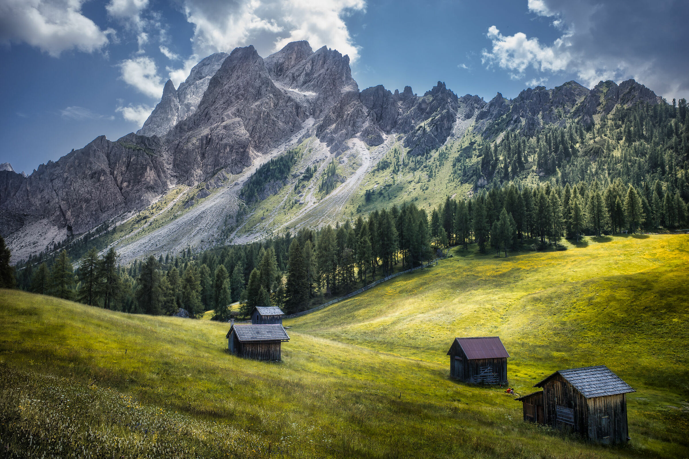 The Red Croda Meadows