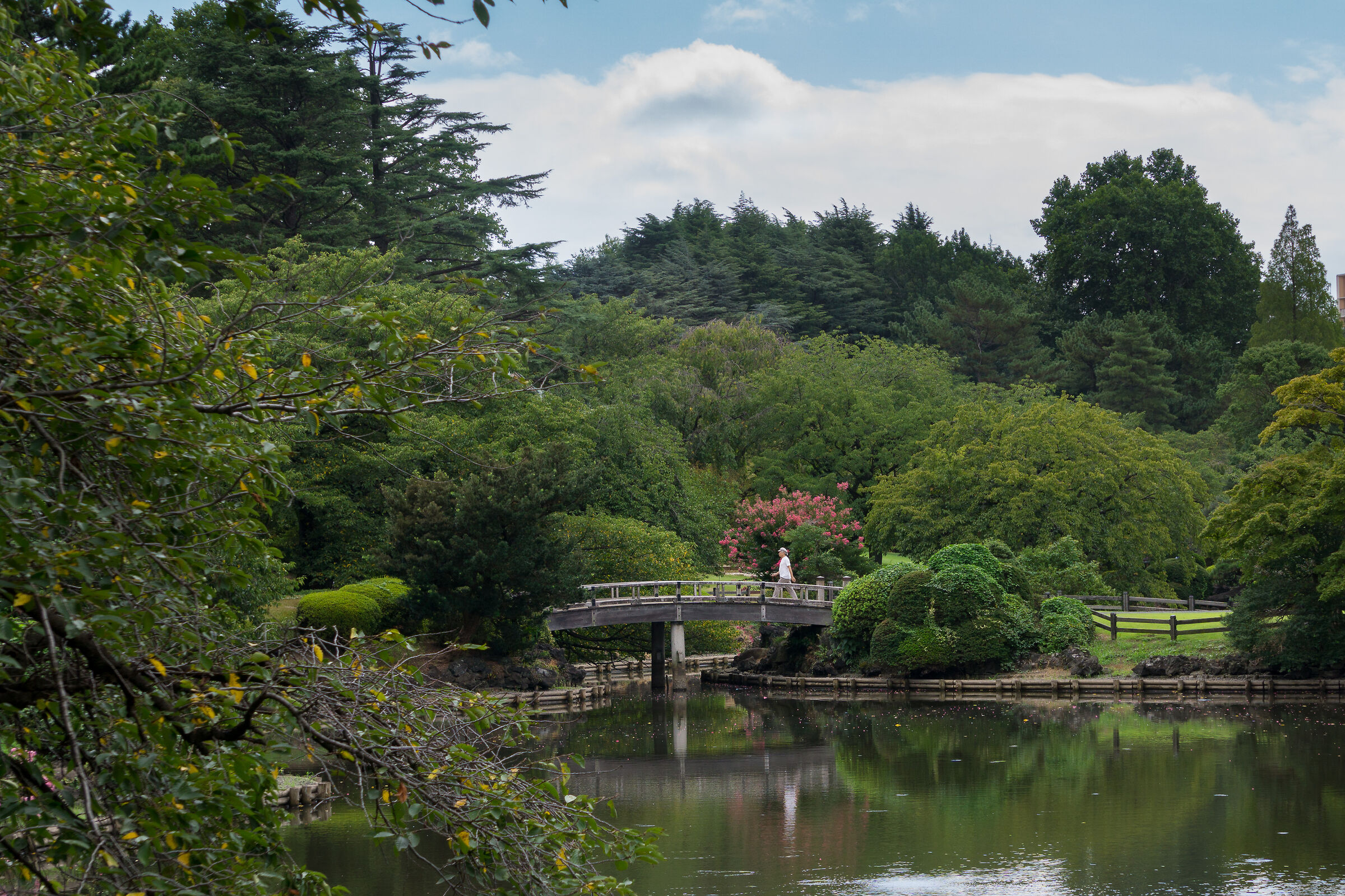 Yoyogi park