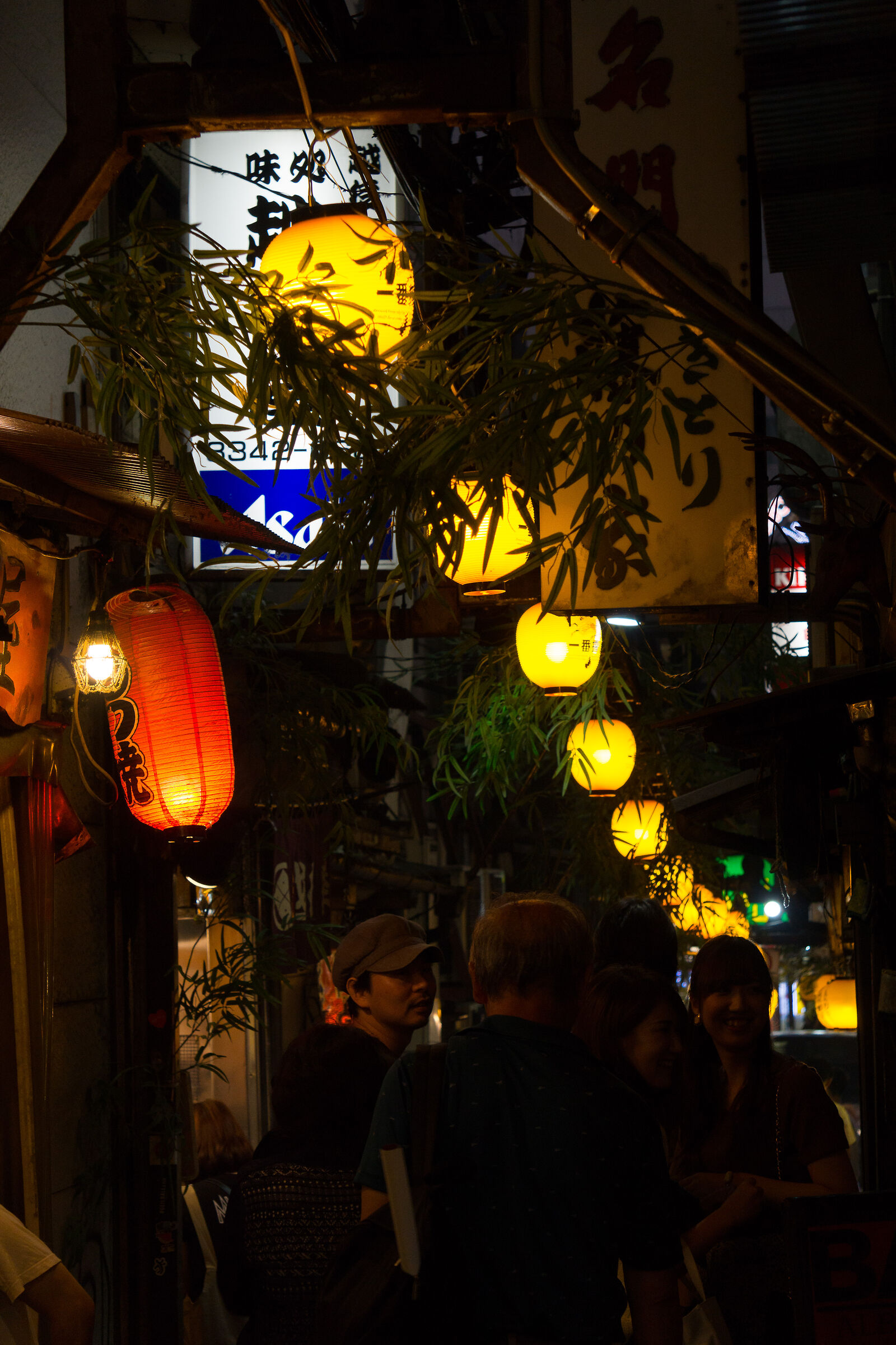 Lanterns to Omoide Yokocho