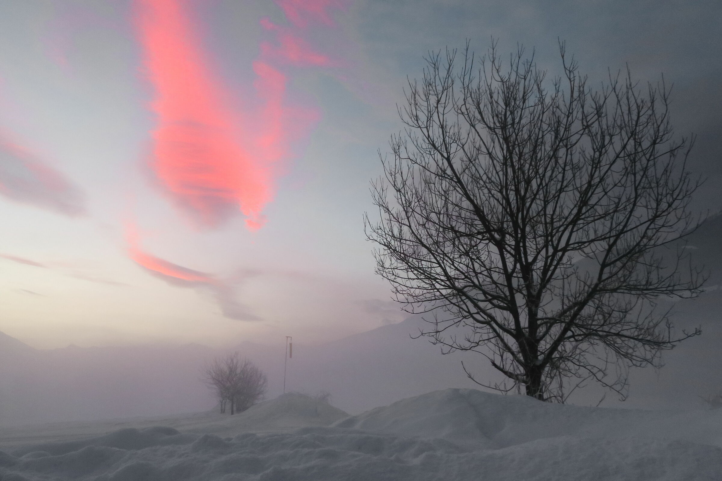 The arrival of the evening in the snow.
