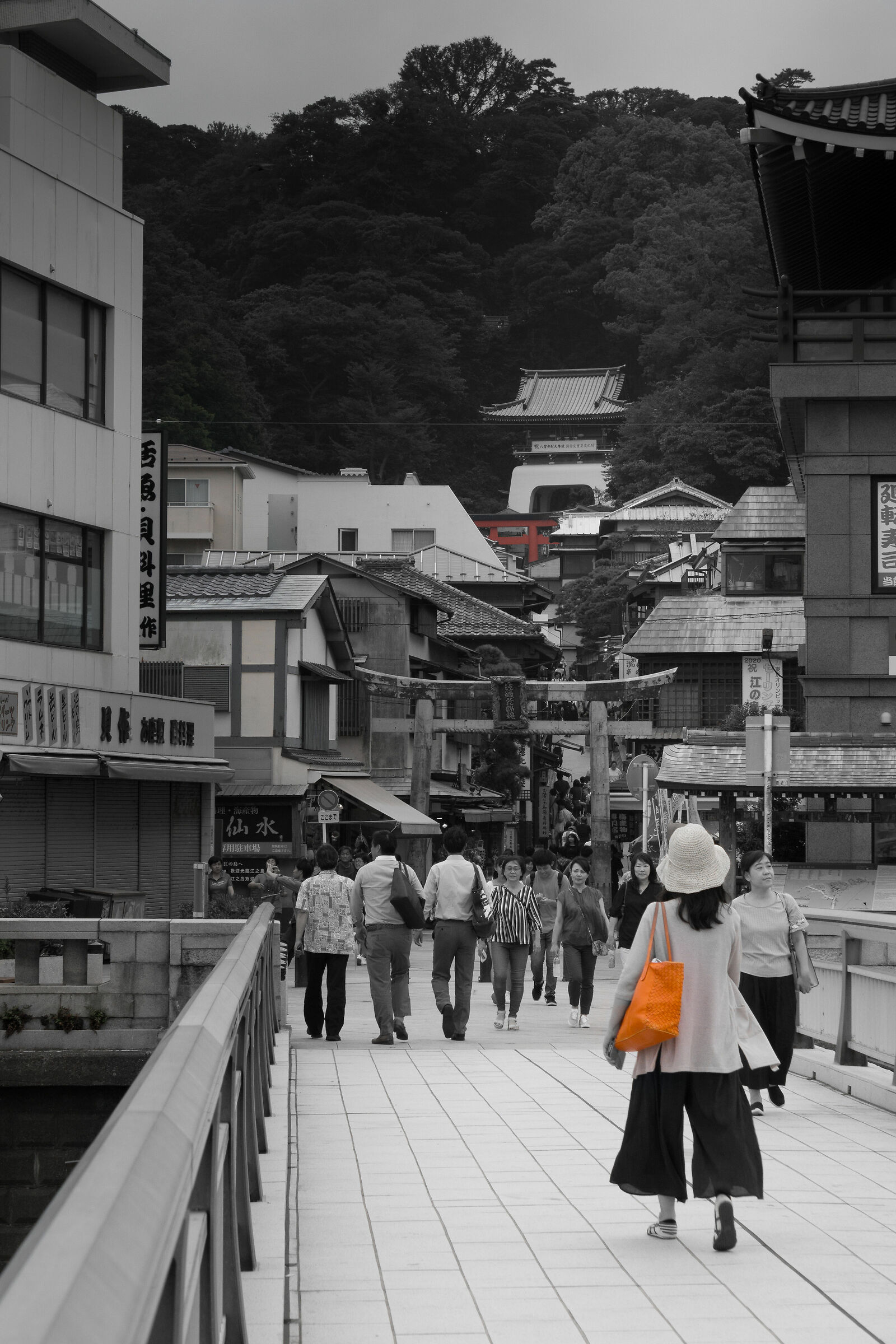 Enoshima black & white