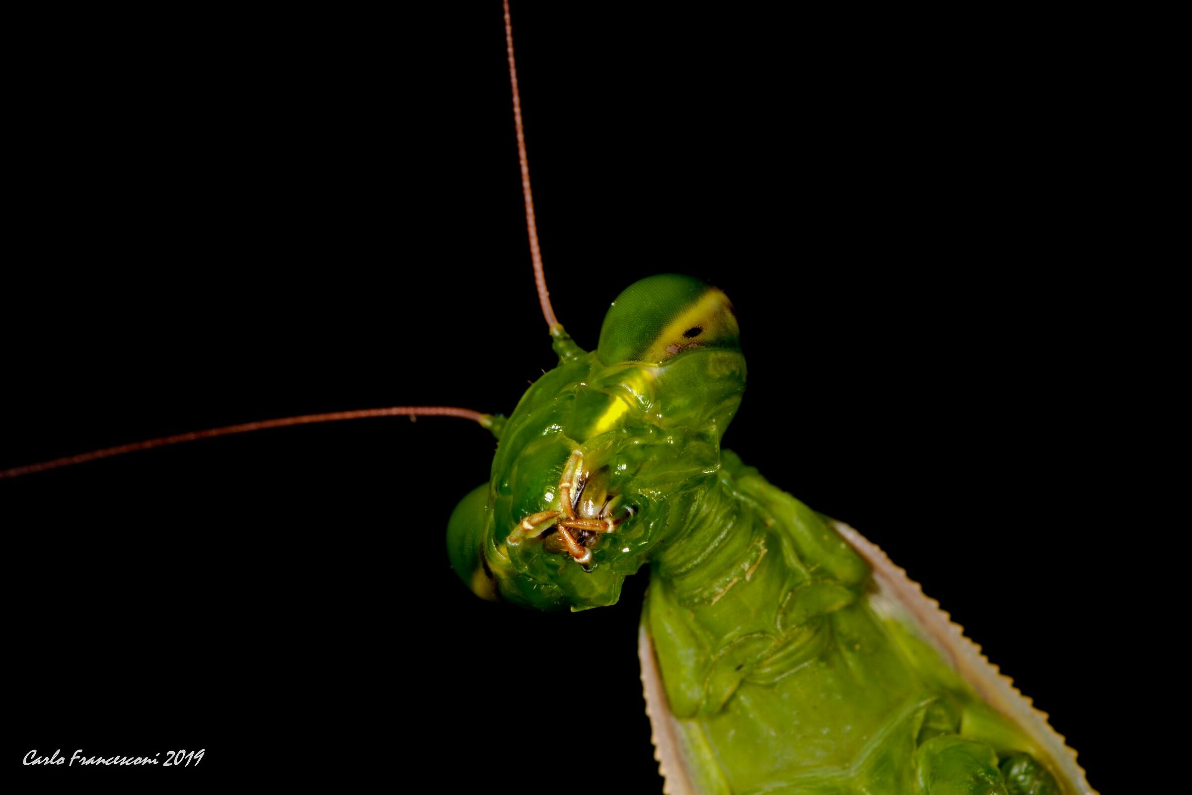 Cheeeeeeseeeeeeeeeeeeeeeeeeeeeeee