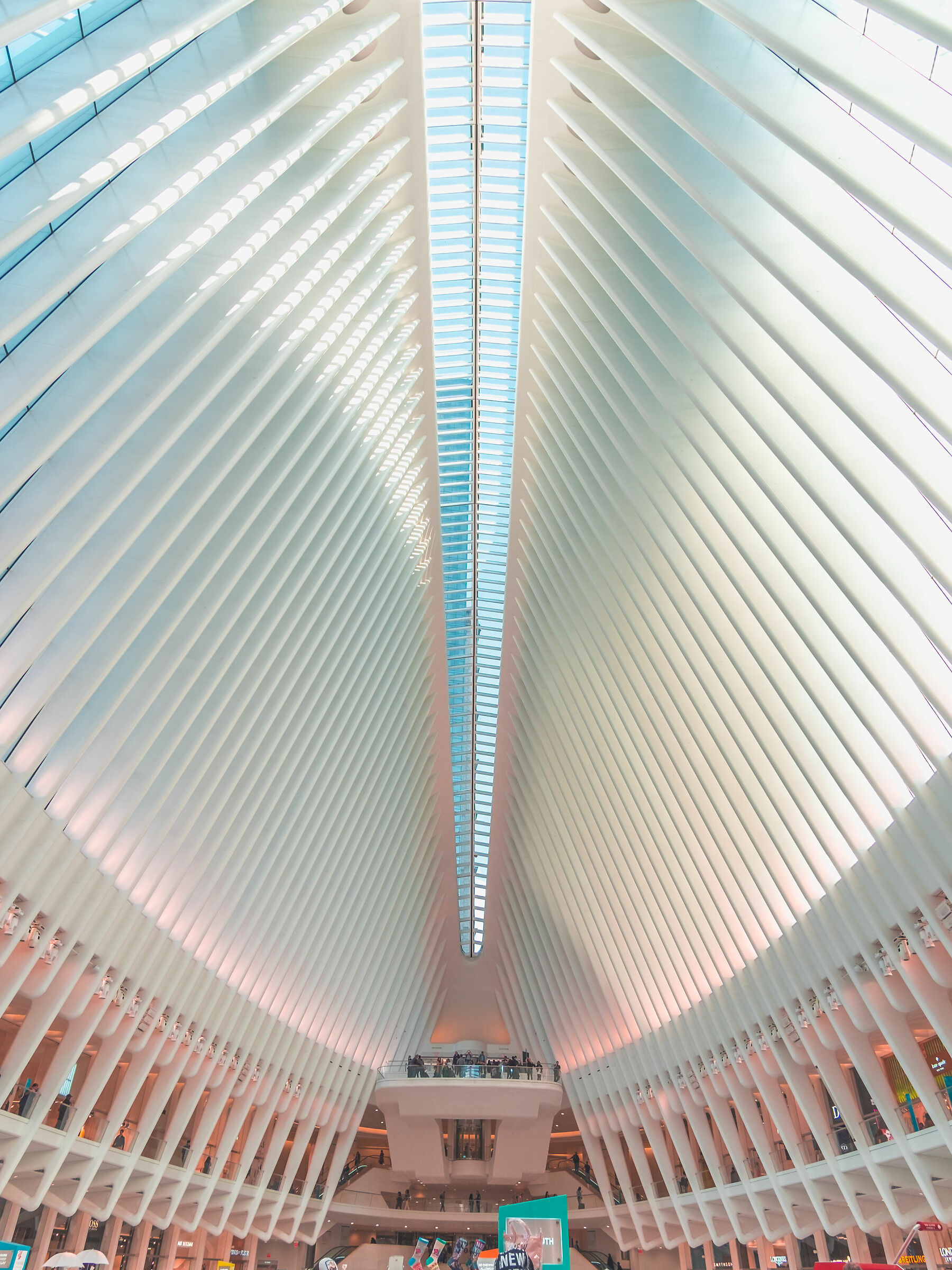 Kind Simmetry, Apple