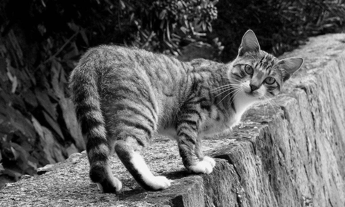 Che rottura sto fotografo!!!