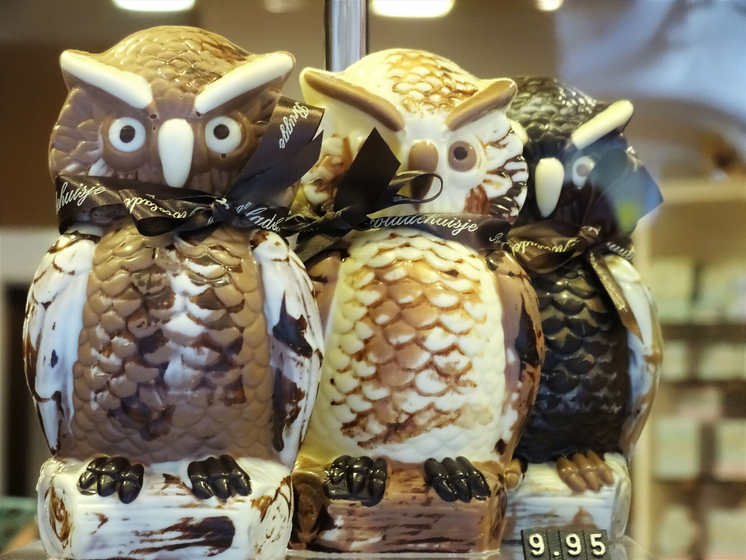 Chocolate owls in the window....