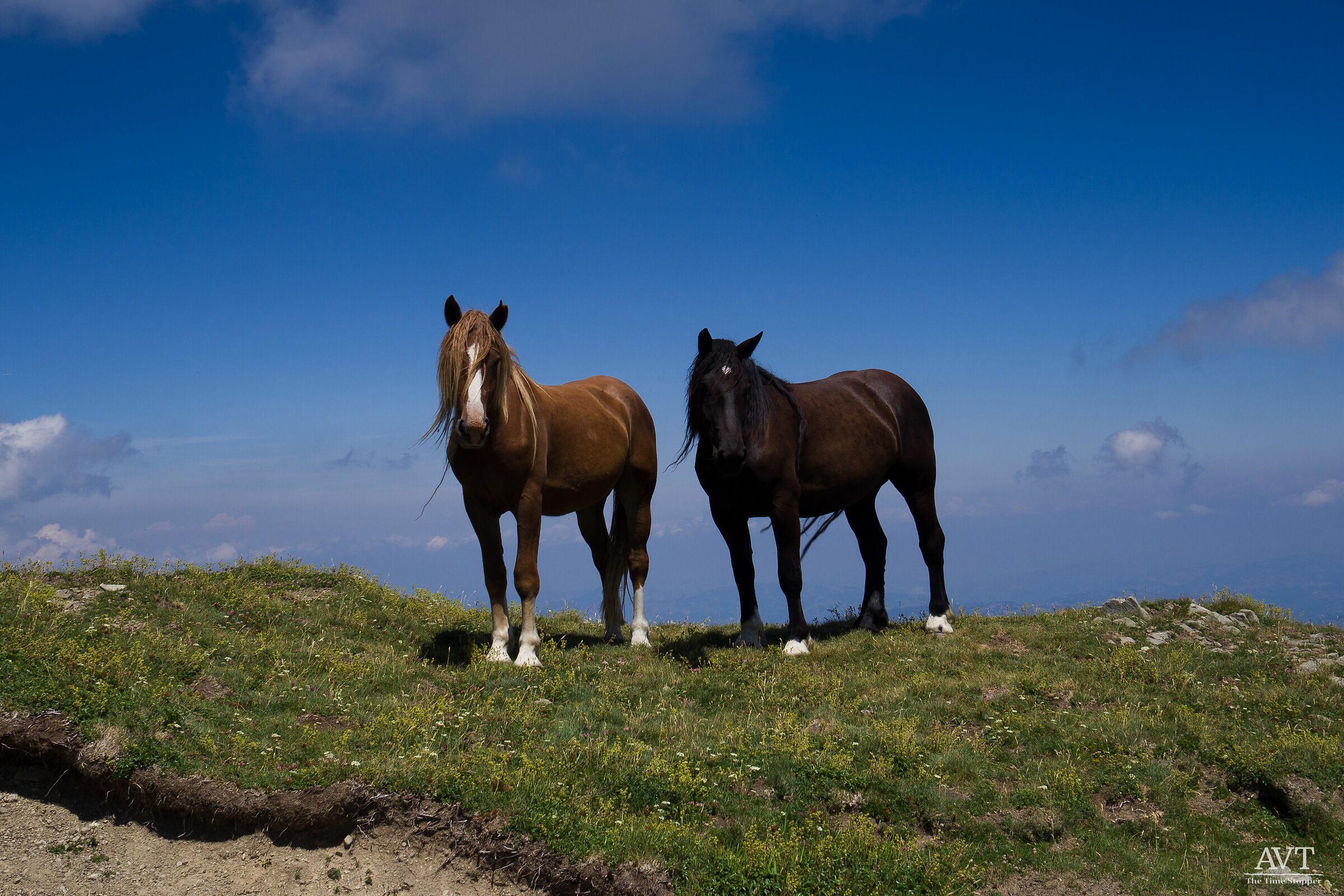 High-altitude meetings