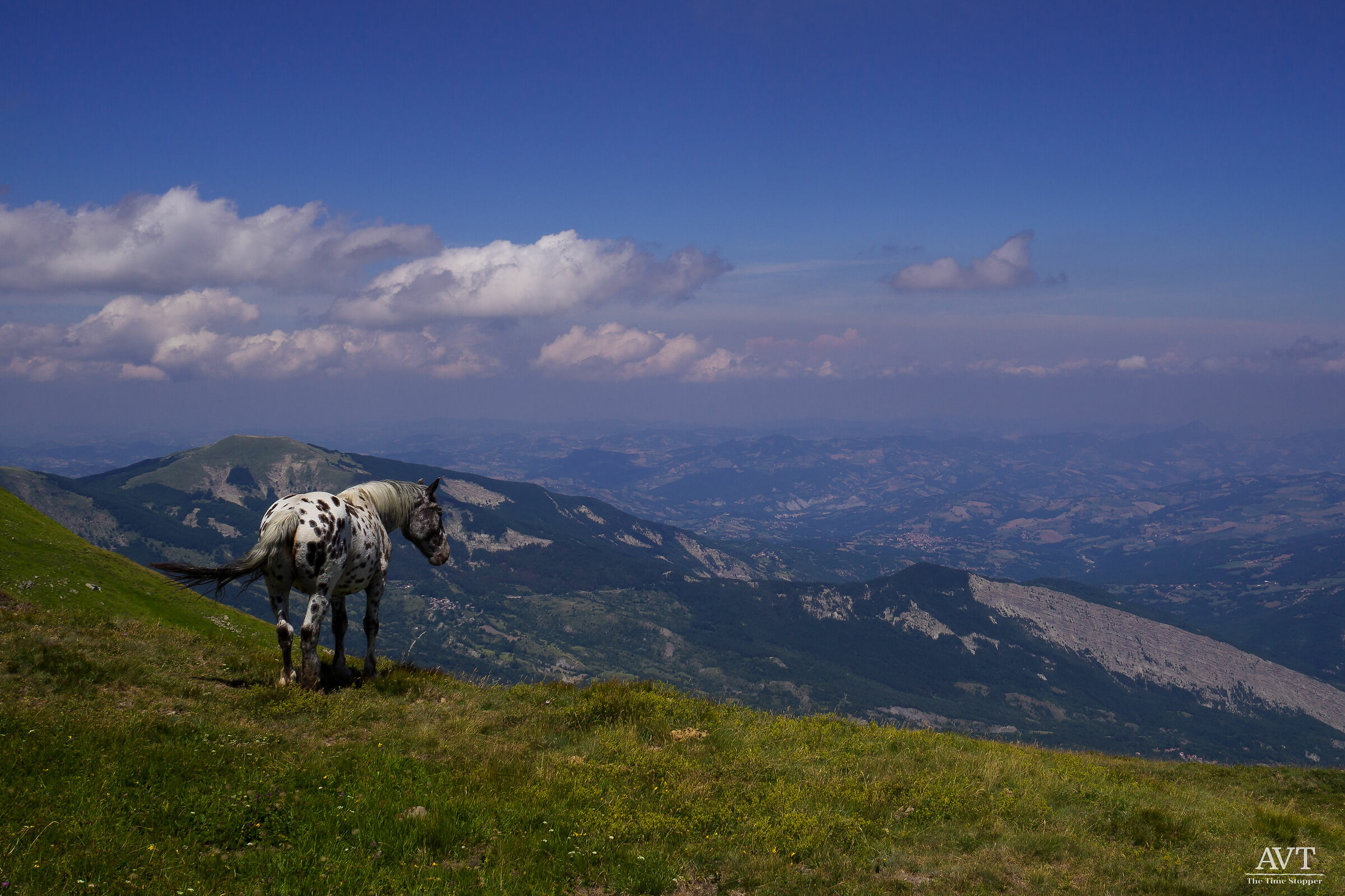 High-altitude meetings