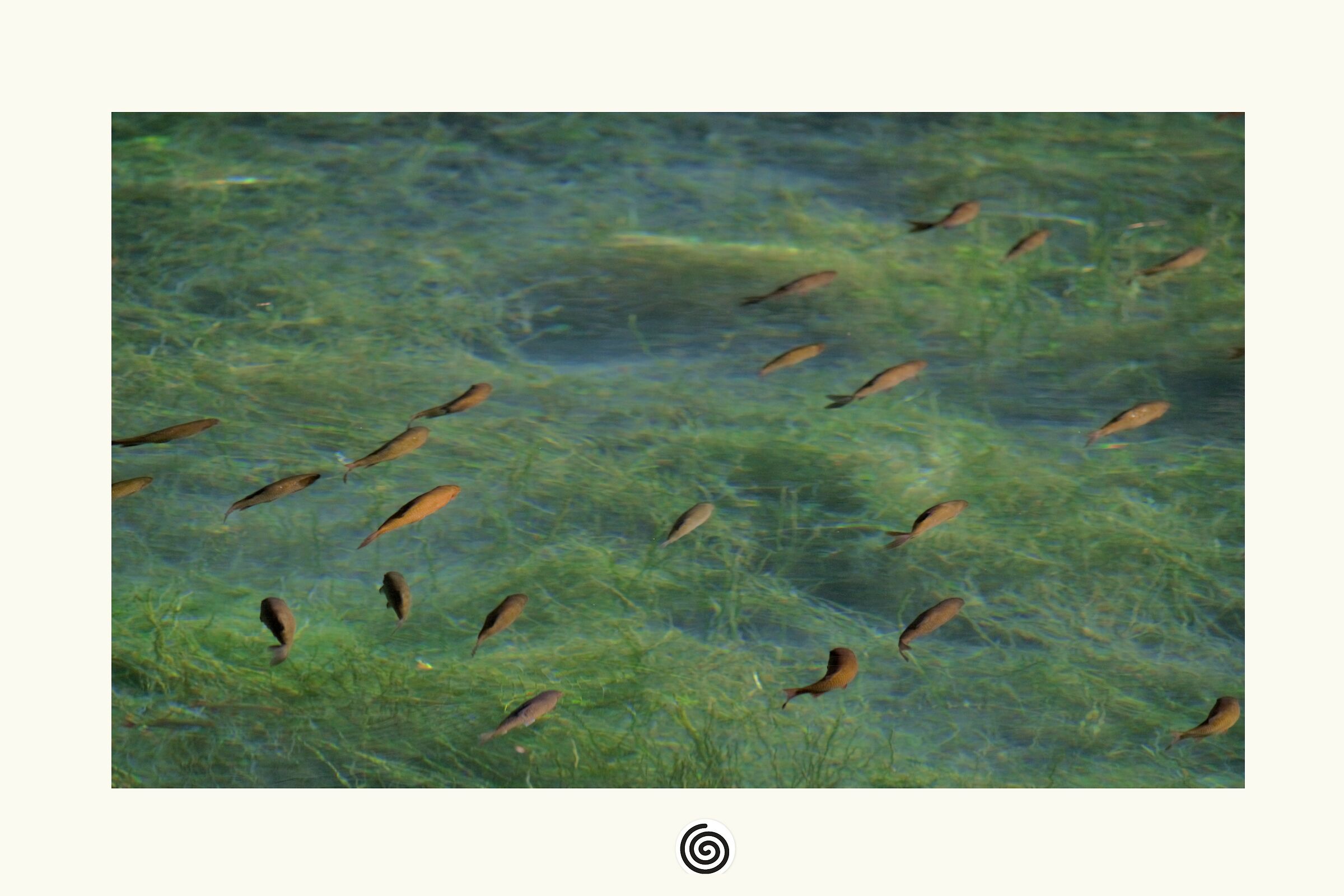 Insignificant detail