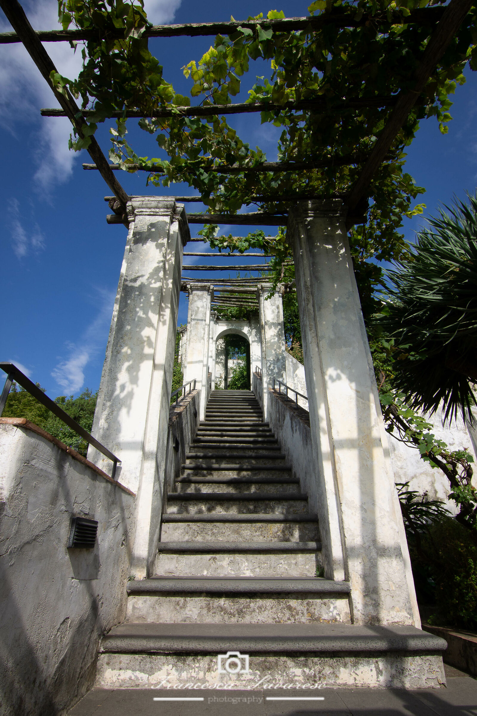 Il Giardino della Minerva