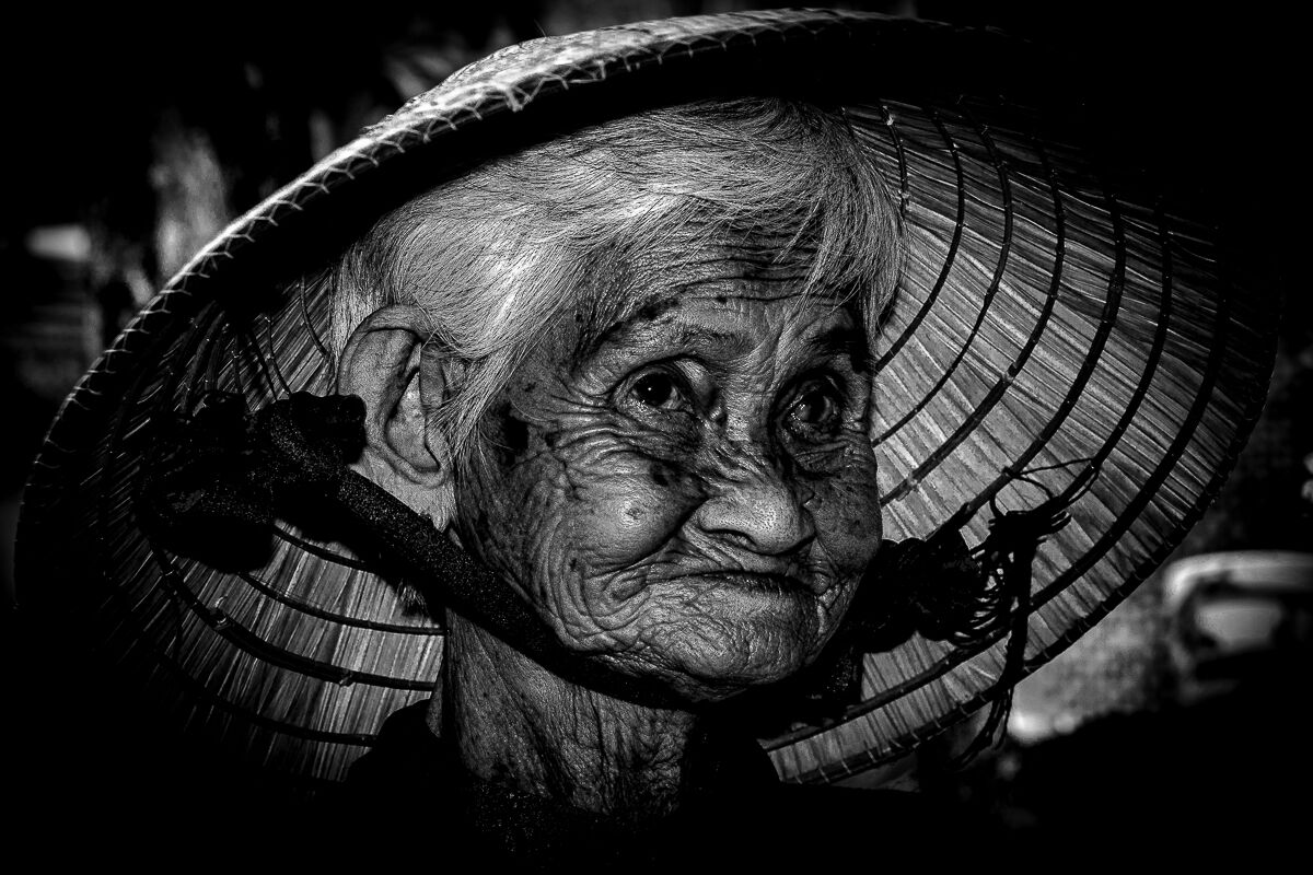 "Like an old sunflower"