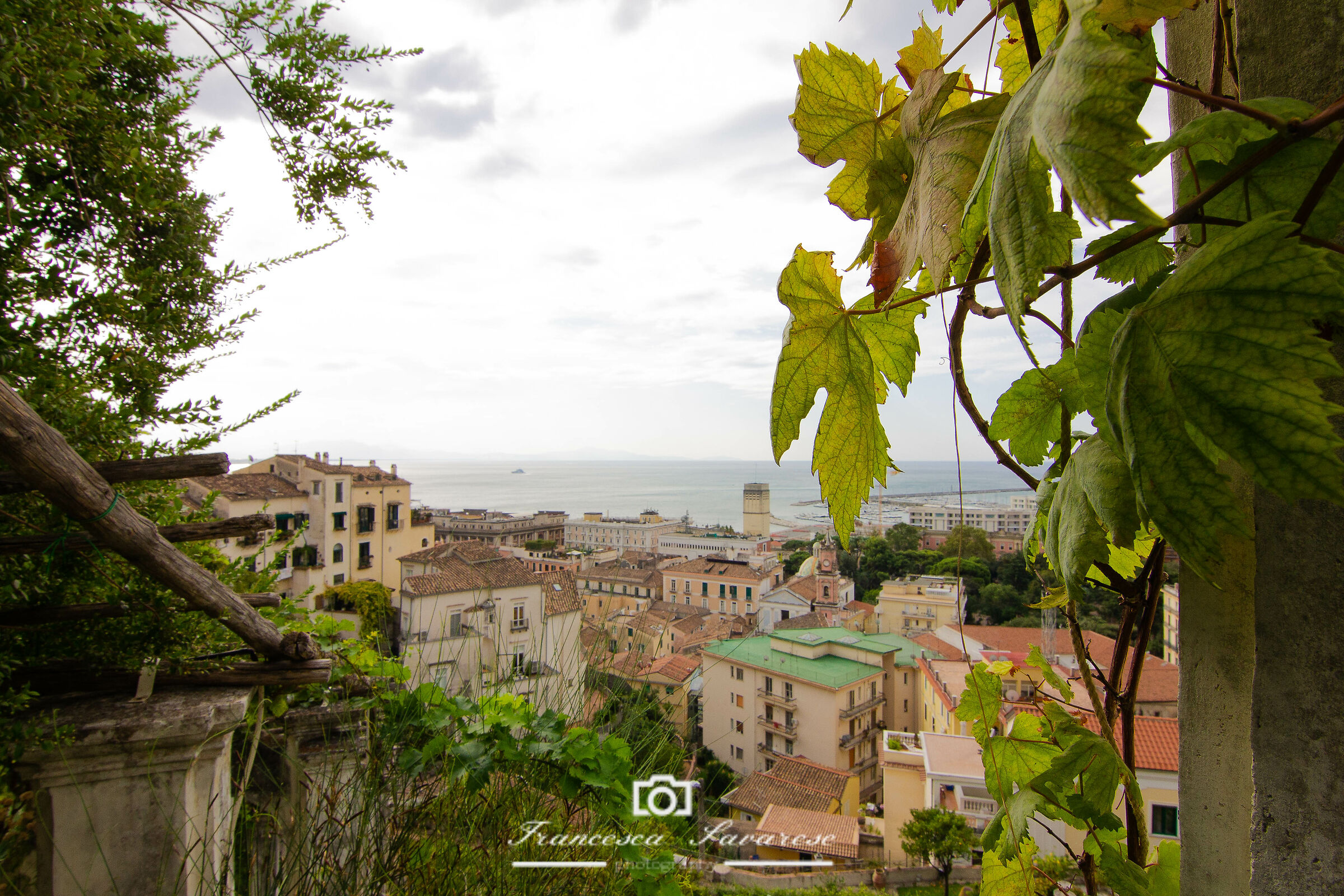 Salerno centro dal Giardino della Minerva