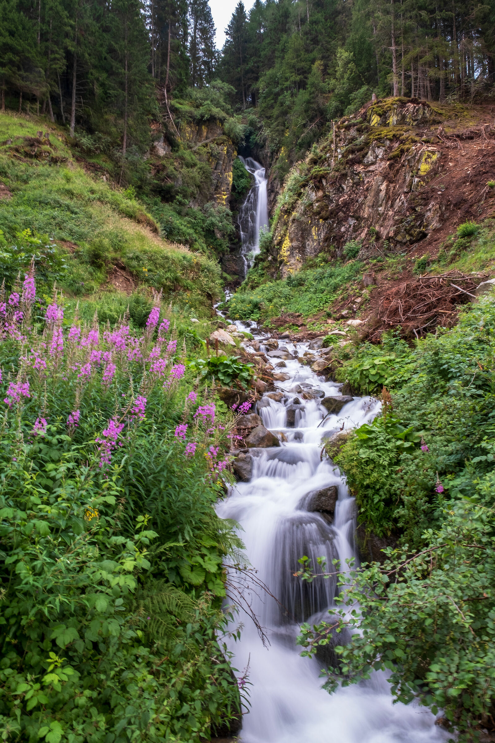 Summer in the mountains
