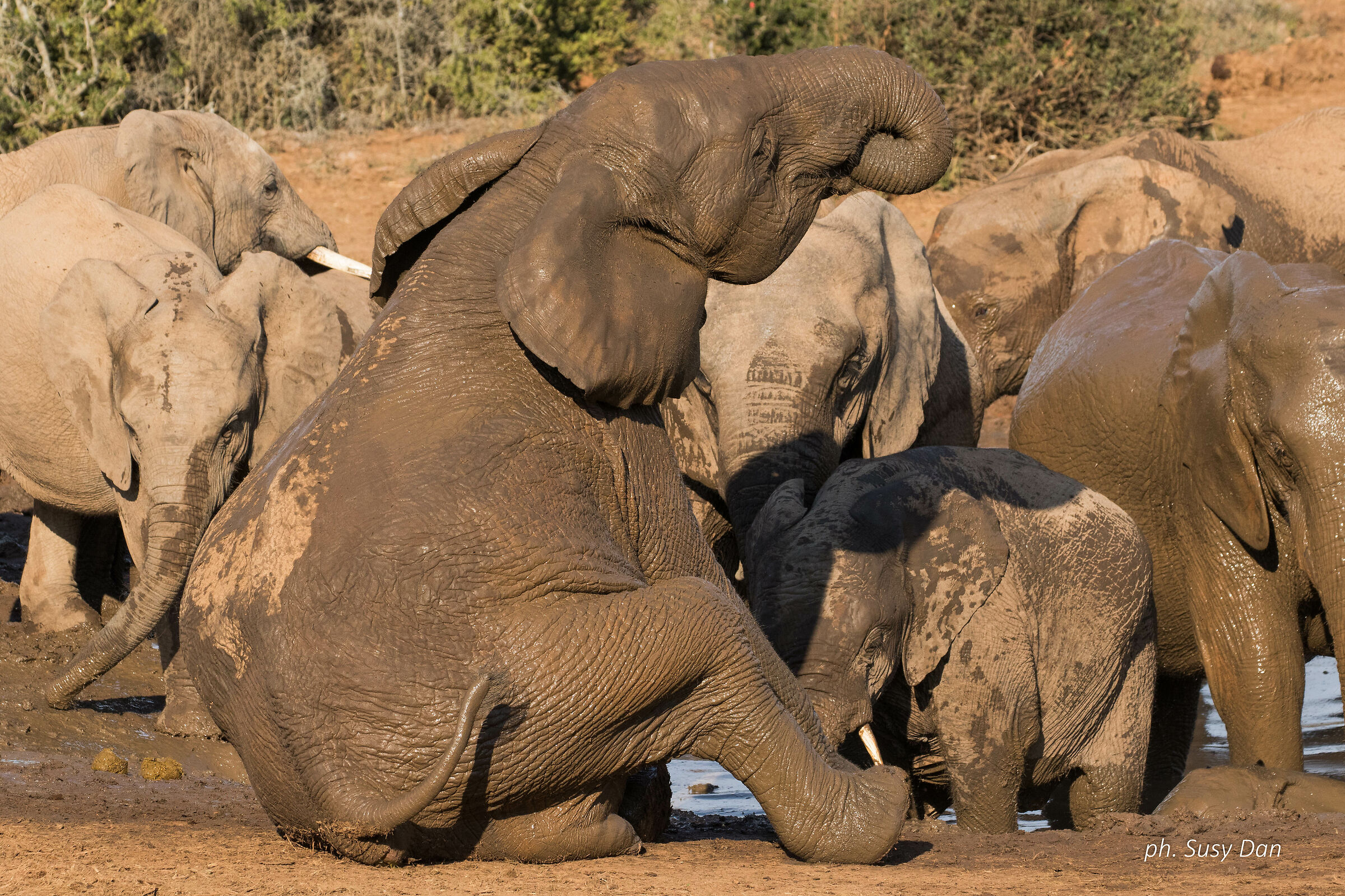 Felicità è ... un bel bagno di fango in compag...