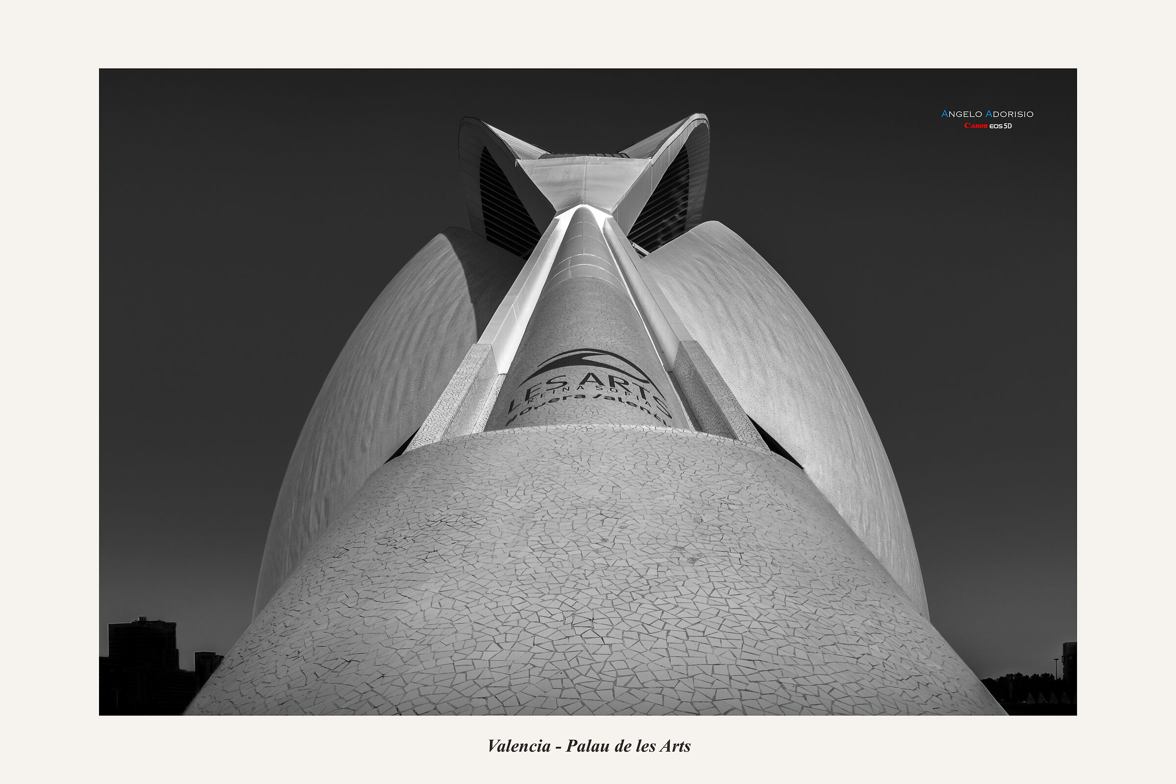 Palau de les Arts Reina Sofía - Valencia