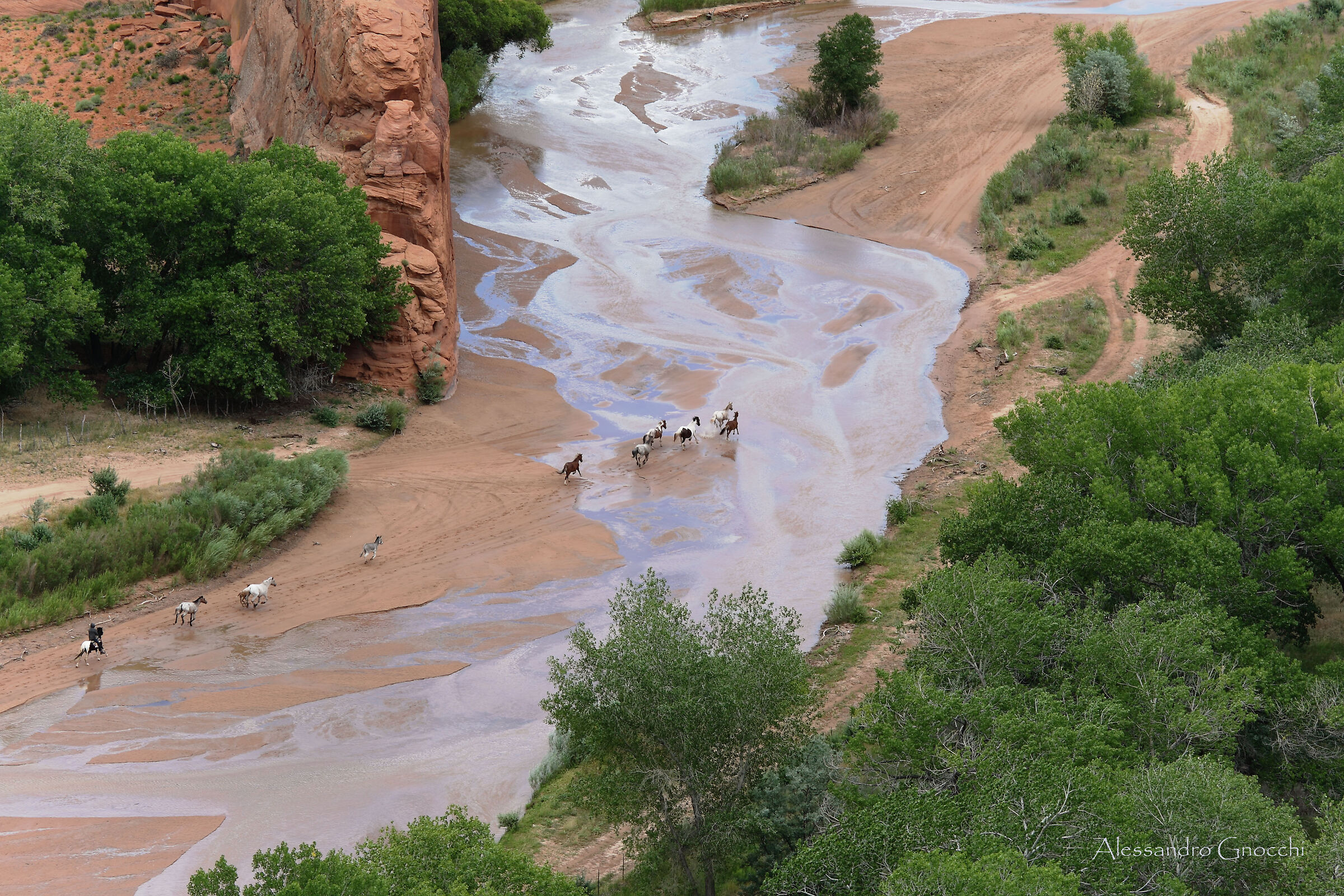 Canyon de Chelly, Apache County - Arizona