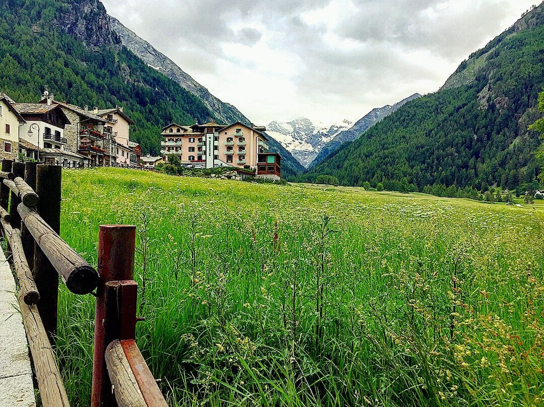 Cogne, il prato di S. Orso