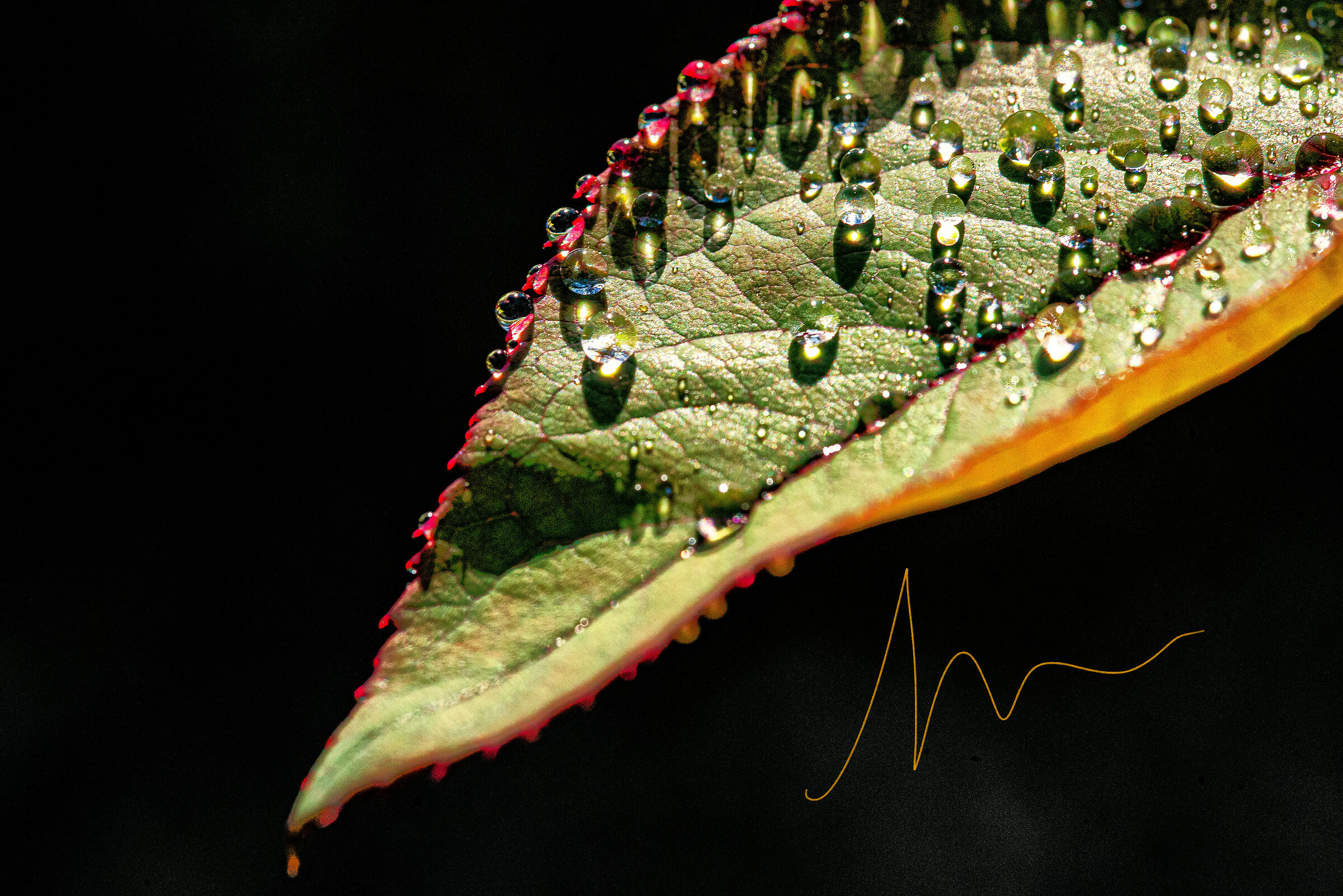 Water can shine more than diamonds.