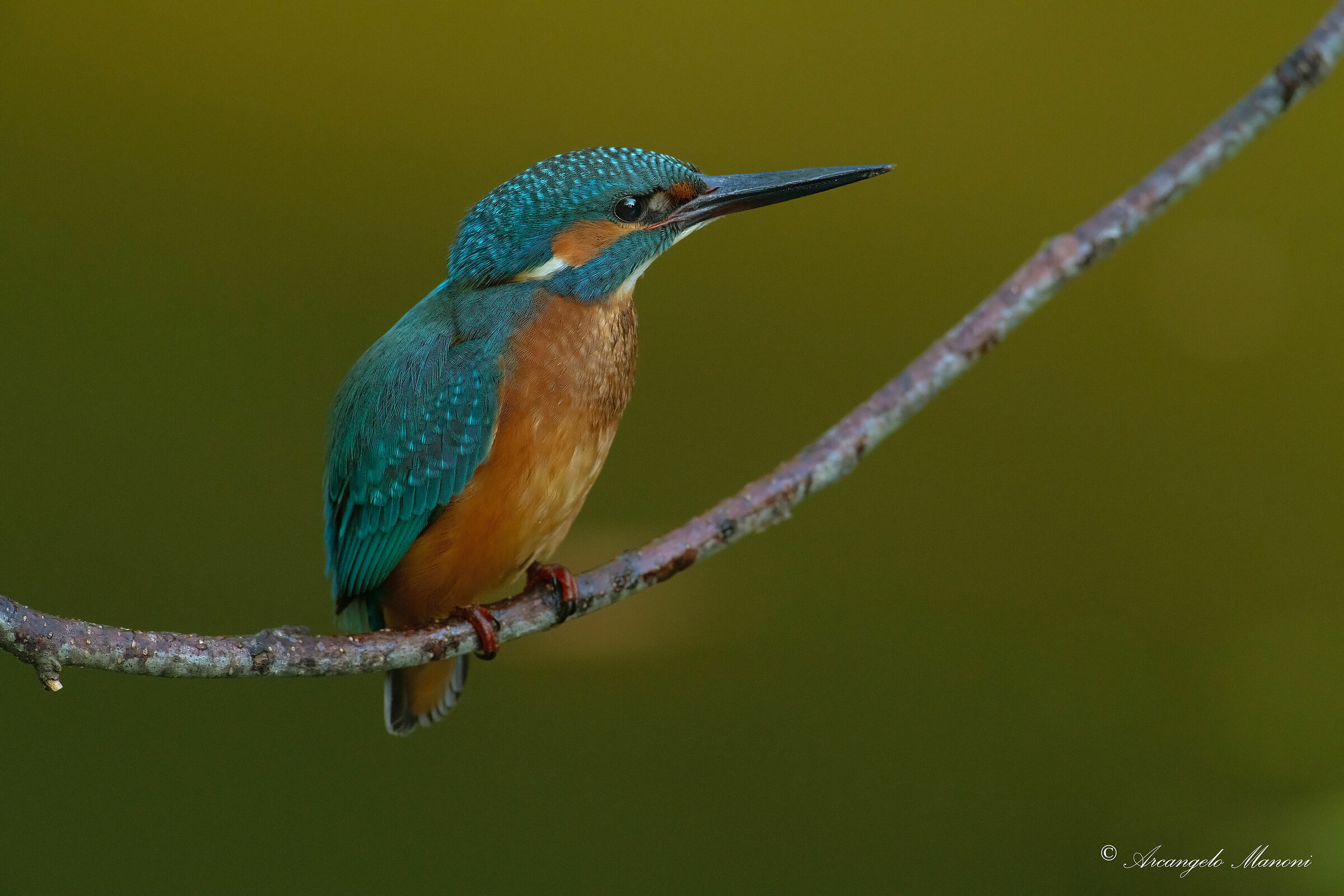 In the shadow of the river embankment