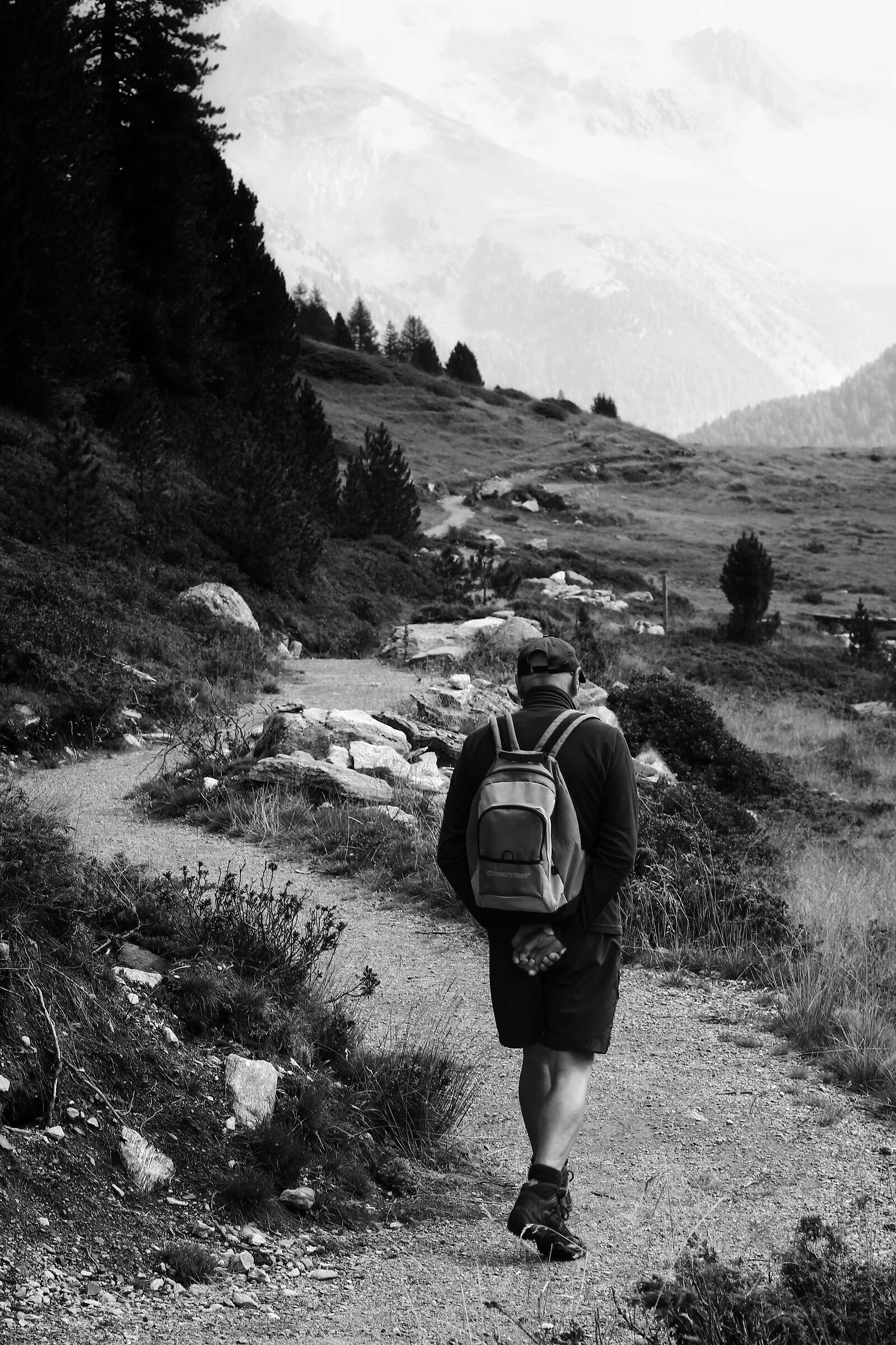 Trail to Staller Alm