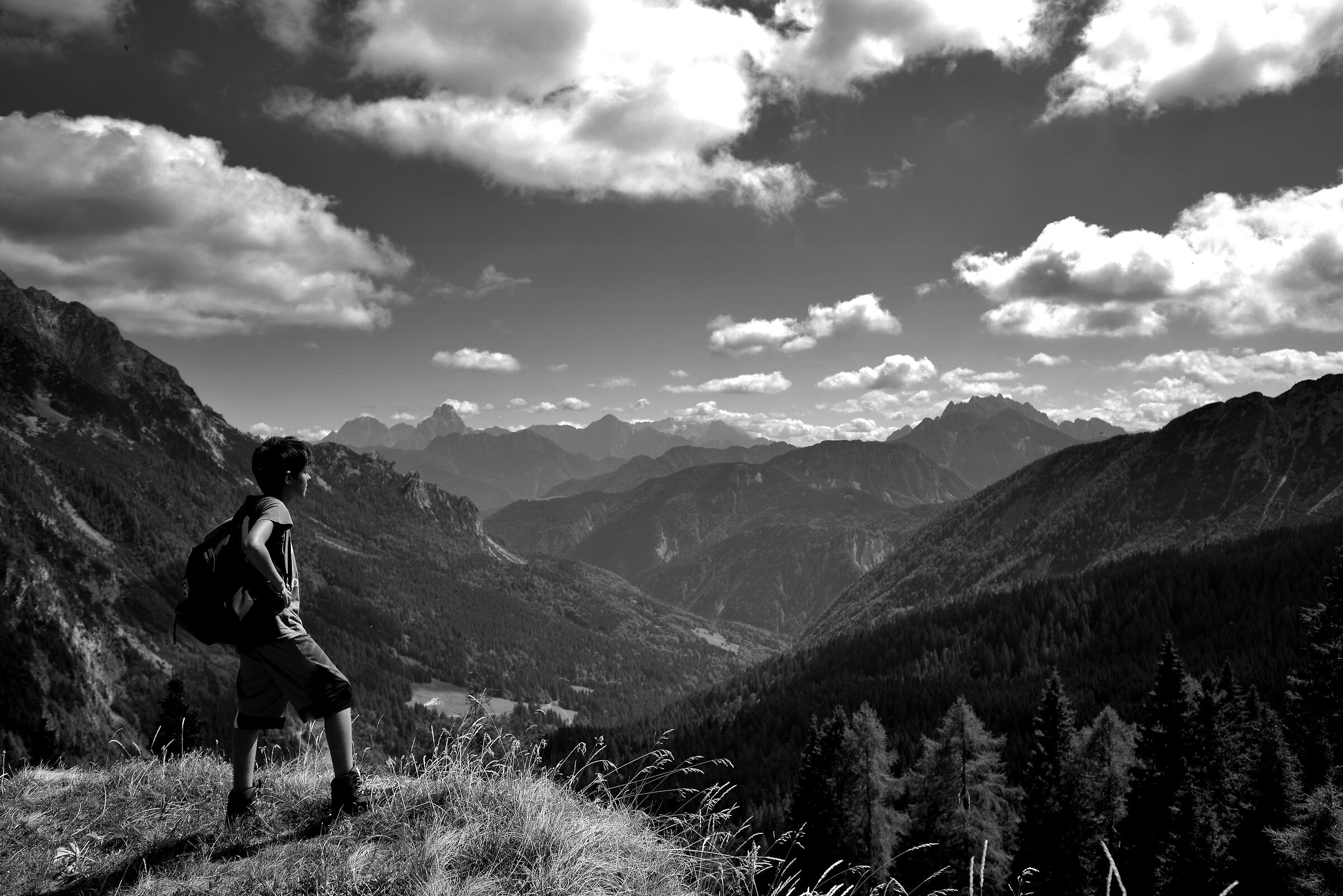 Looking at the future