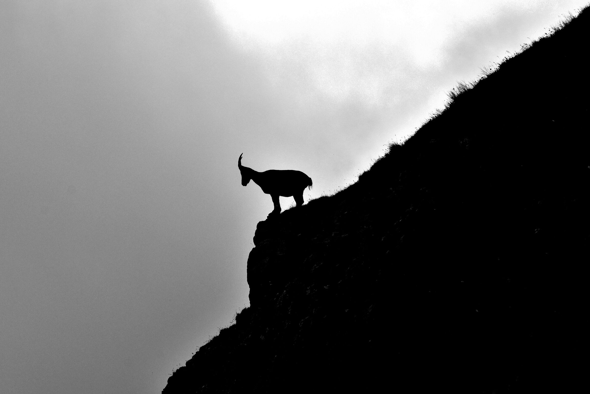 Waiting for the night