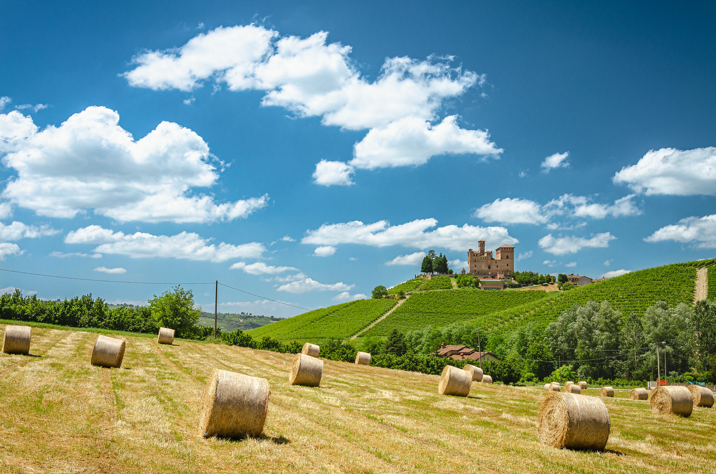 Hay bales at Grinzane Cavour