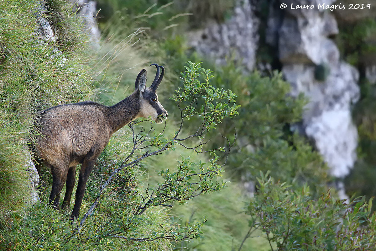 Lunch in the balance