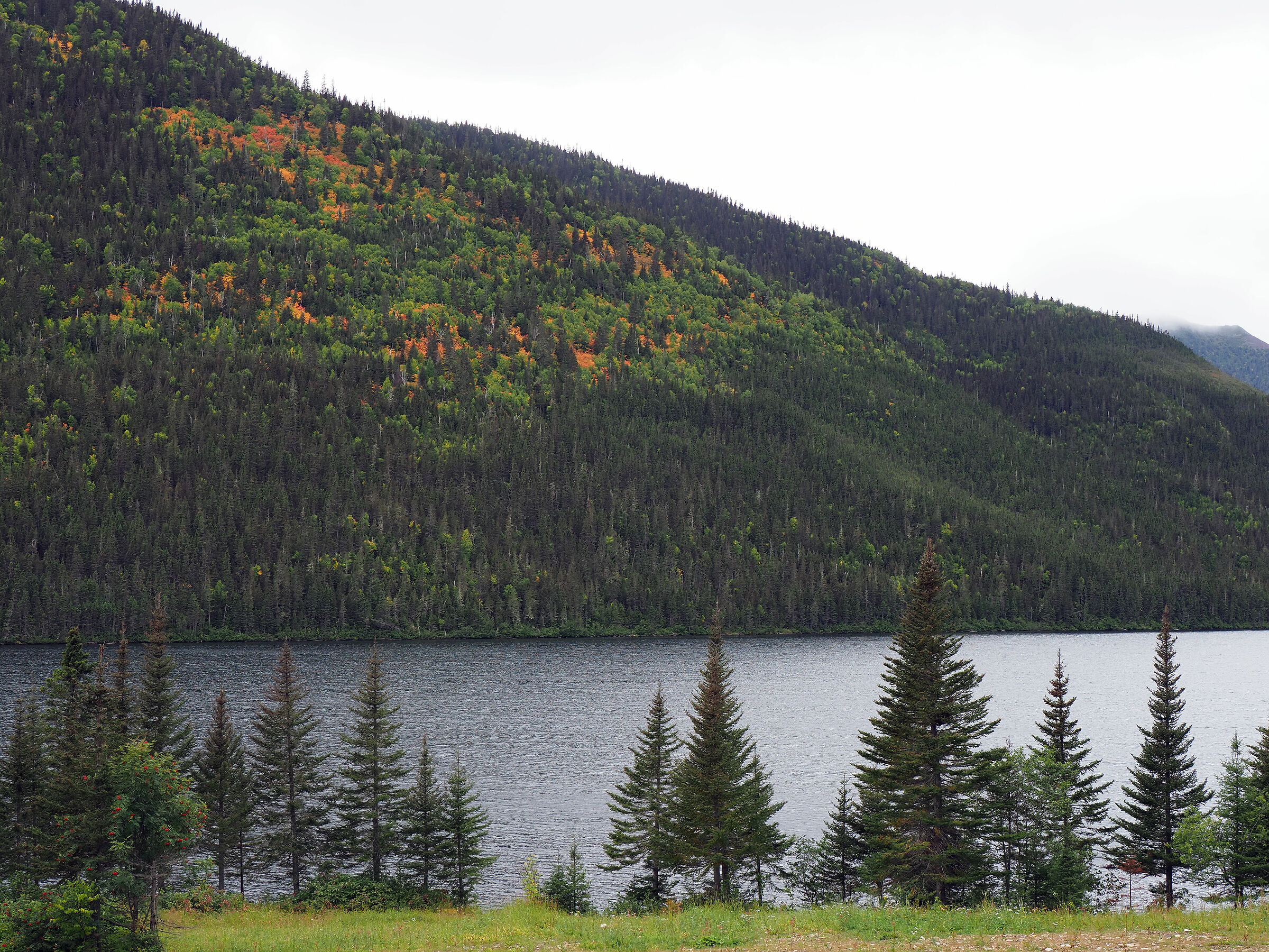 Parc National de la Gaspesie