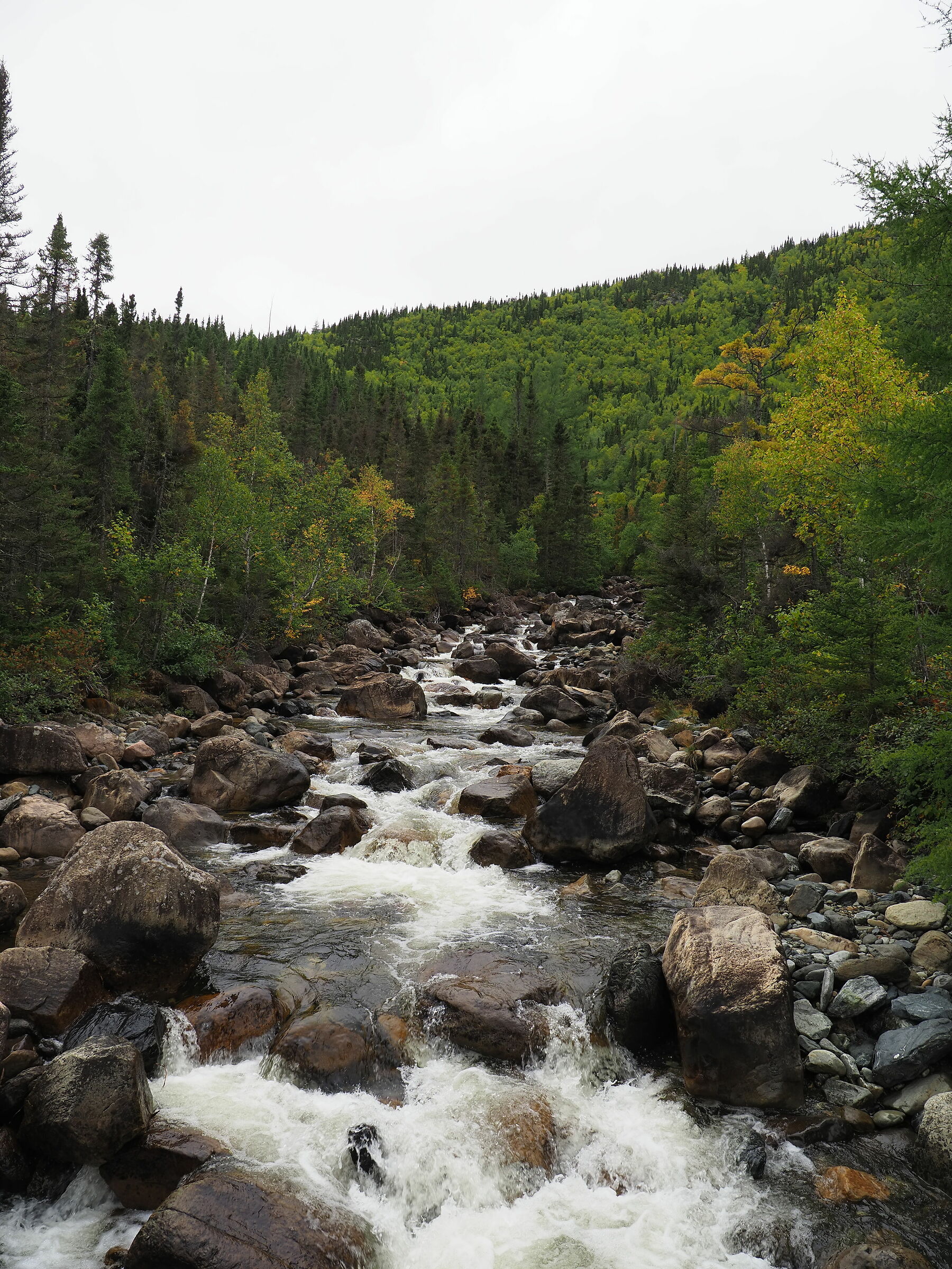 Parc National de la Gaspesie