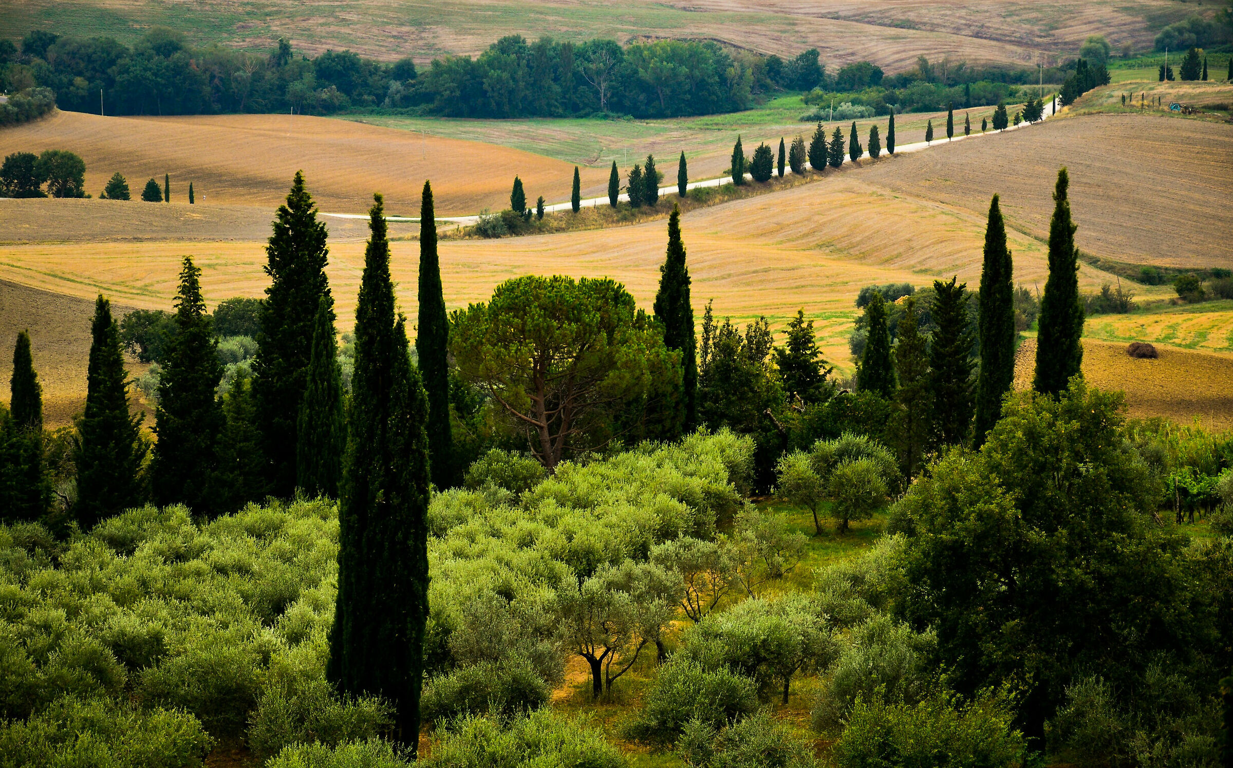 Val d'Orcia (Siena)