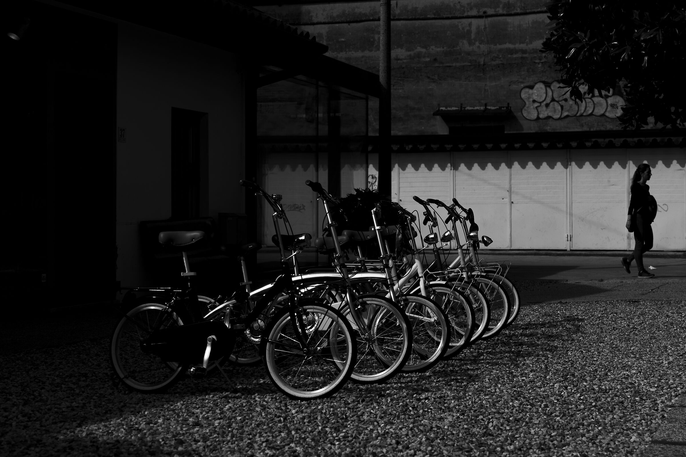 I want to ride my bicycle