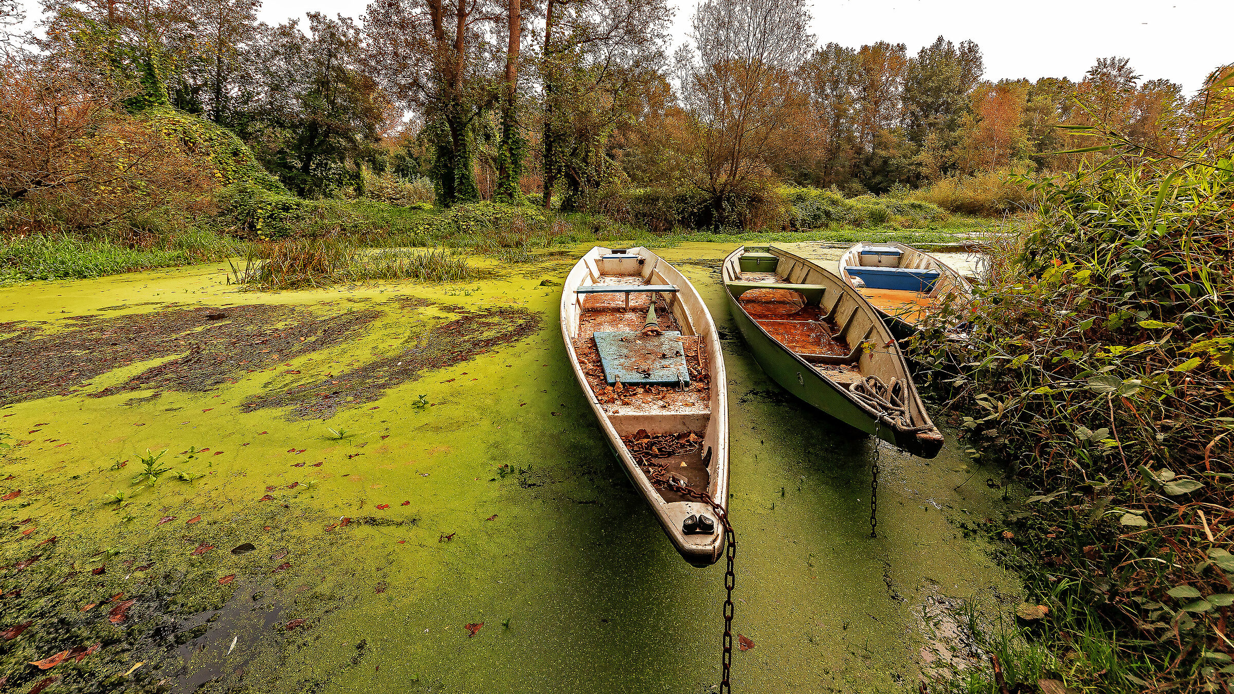 Sedotte e abbandonate