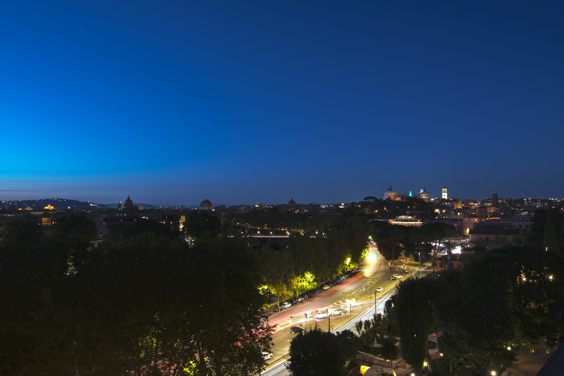 From the orange garden.