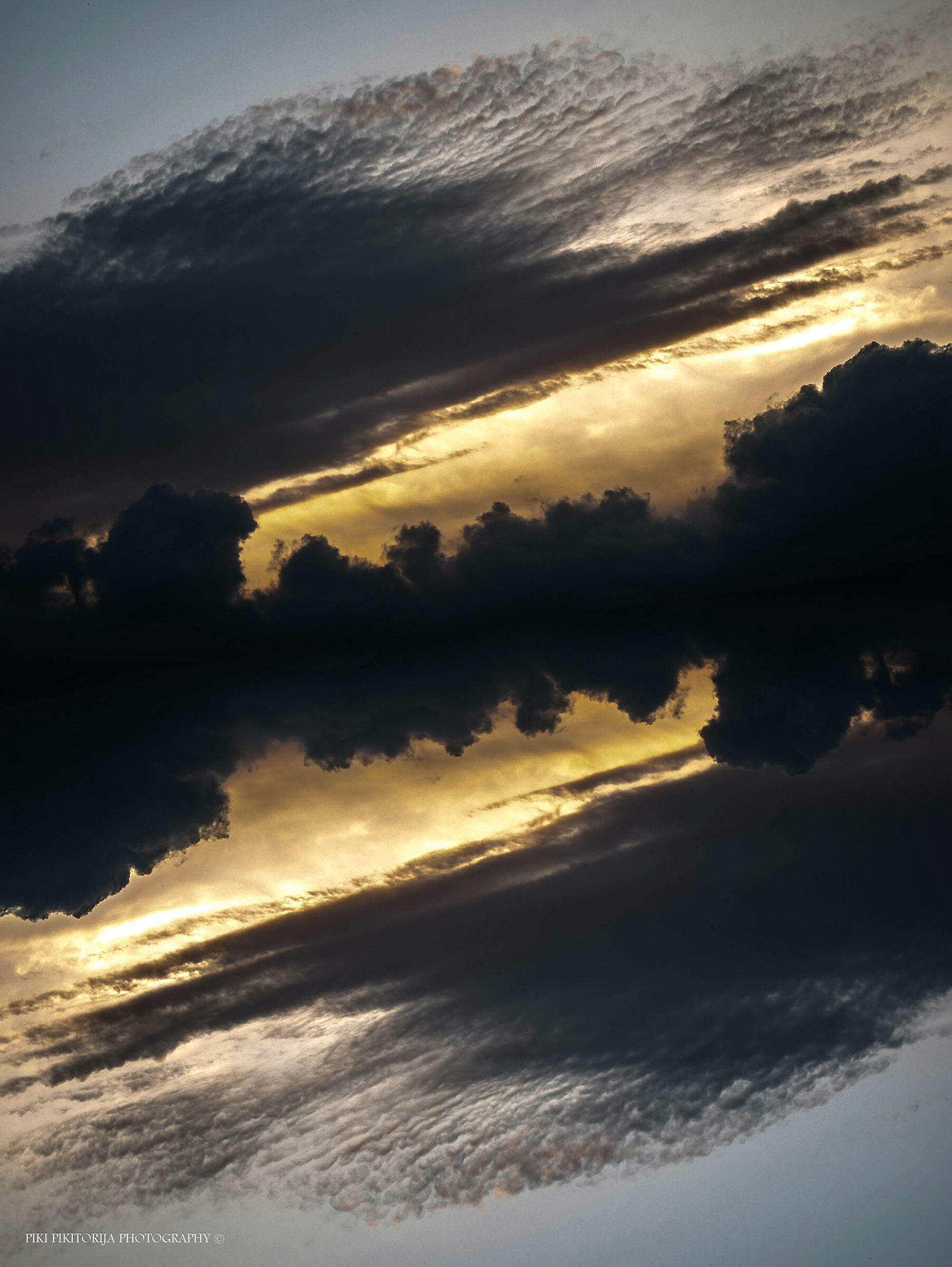 Il circolo della vita