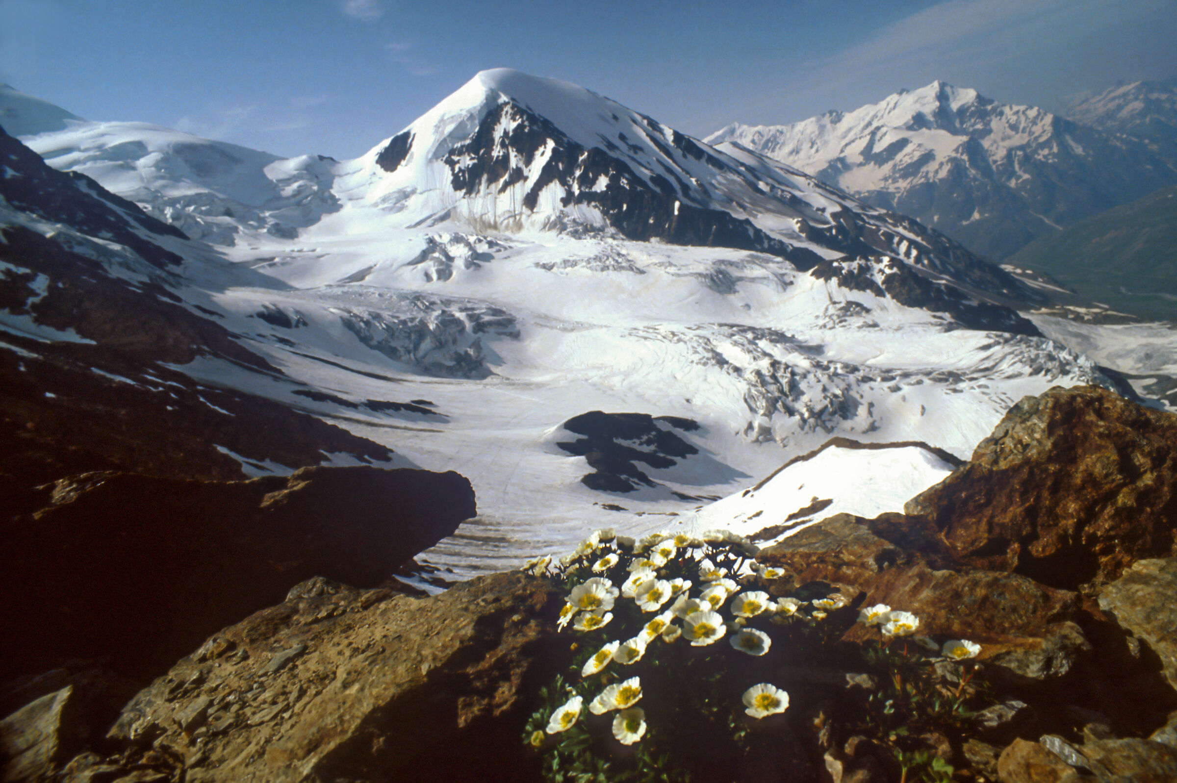 la nord del Pasquale (diap.)