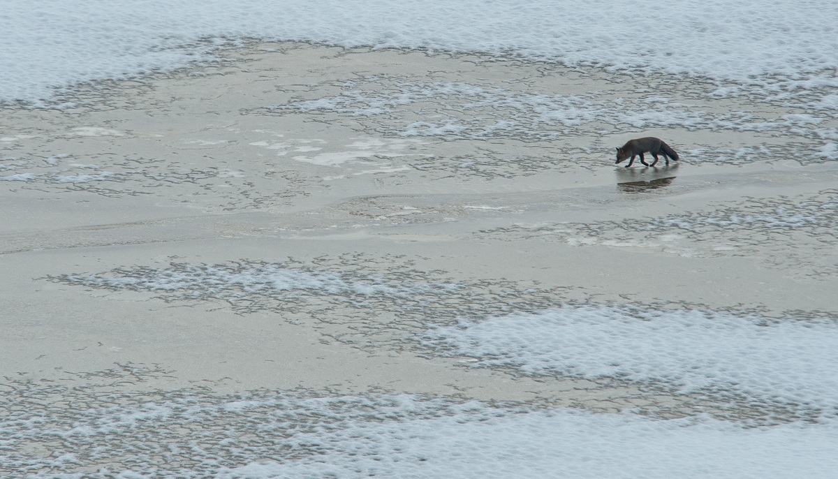 mentre scende la sera