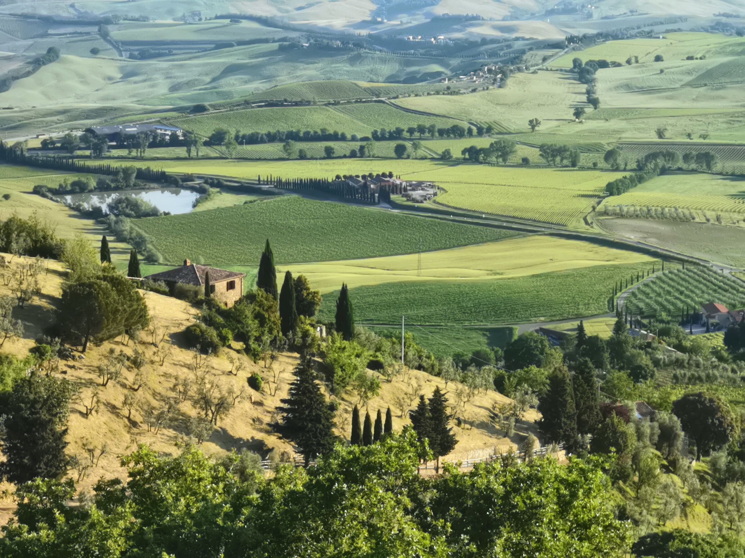 Sotto le pendici di Montalcino