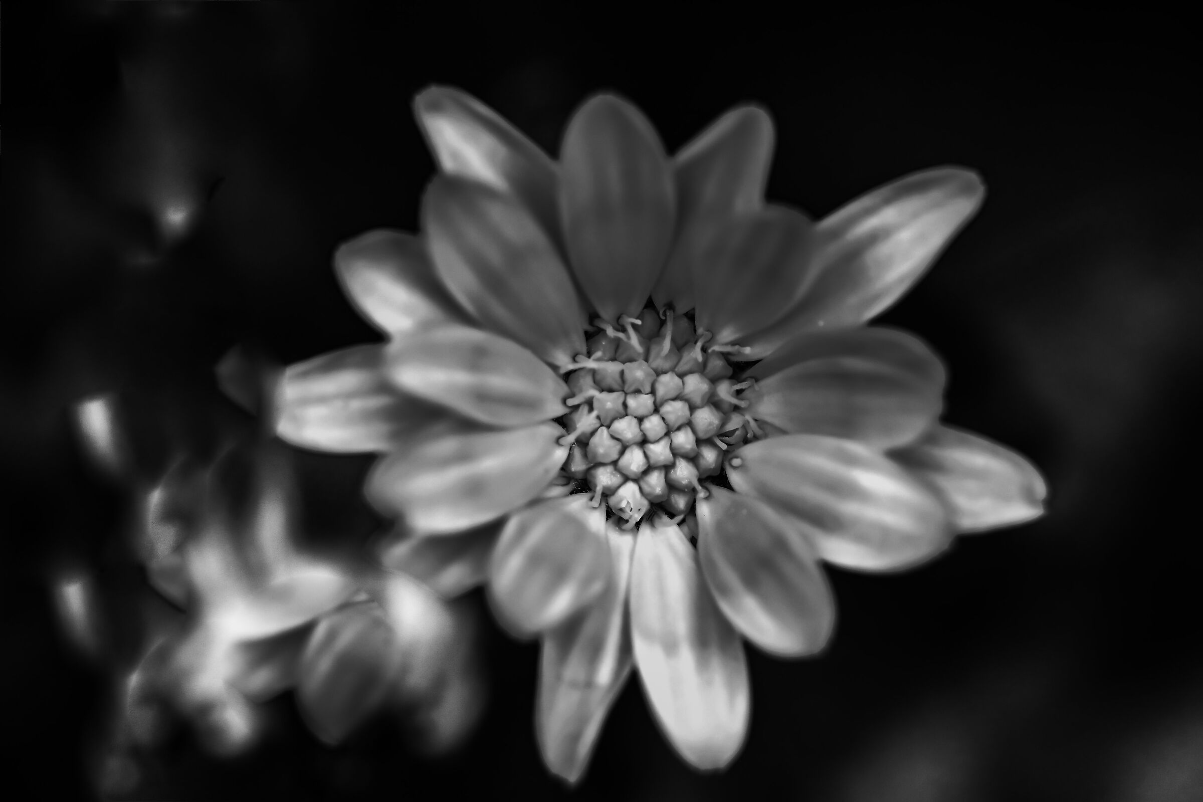 Le solite piccole cose